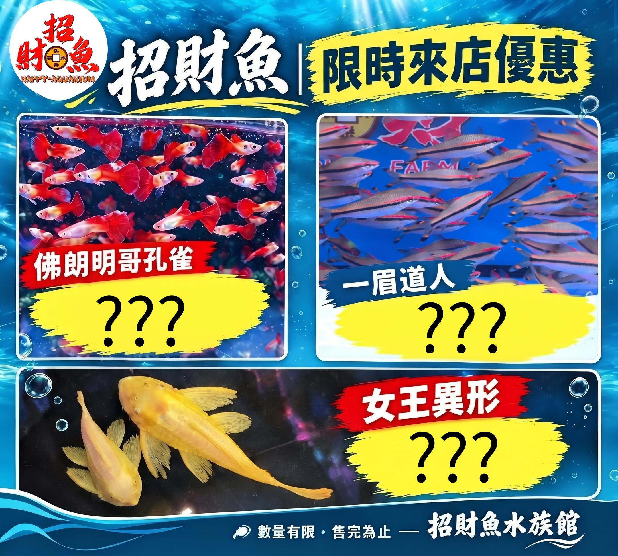 @招財魚水族館