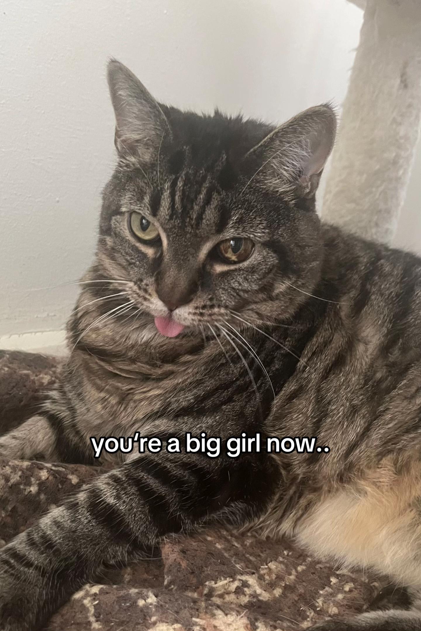 @alexander