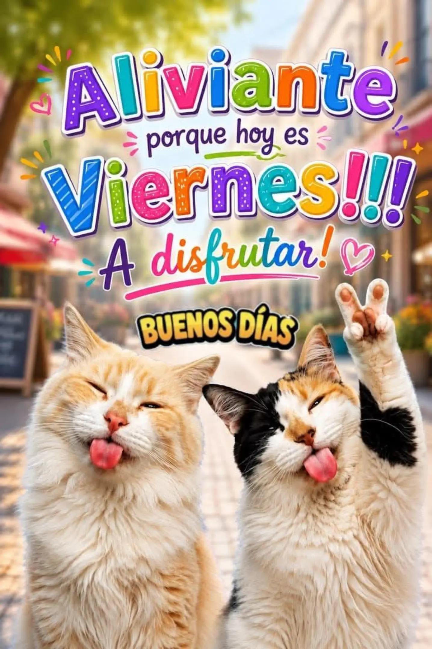 @FABI.GIM.13