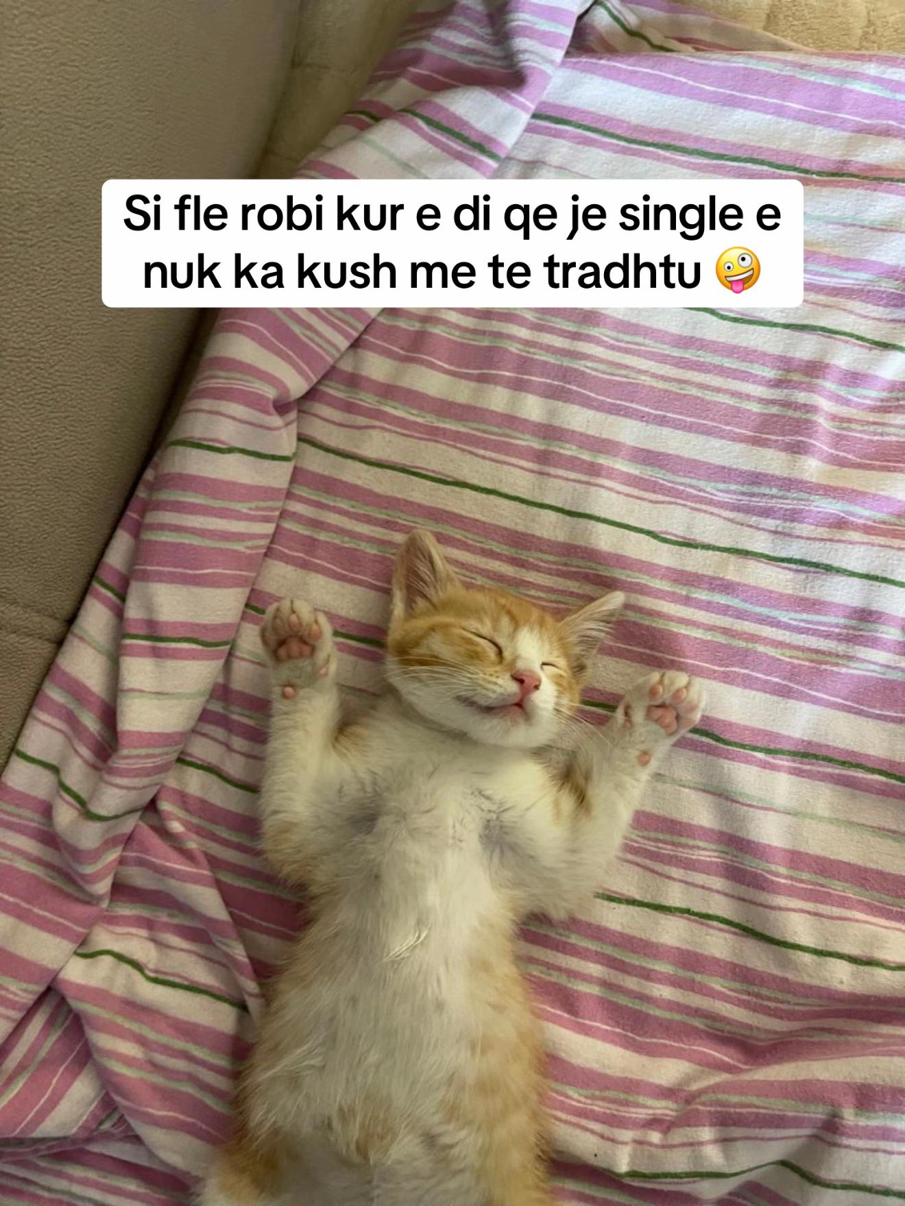 @gleni.7