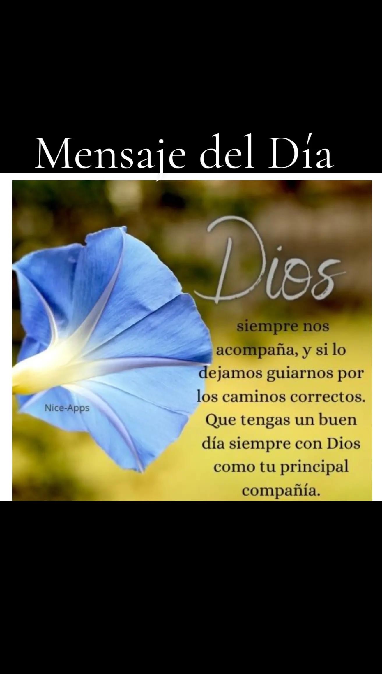 @LA VerdadLQUESEDICETV  Mvsegur