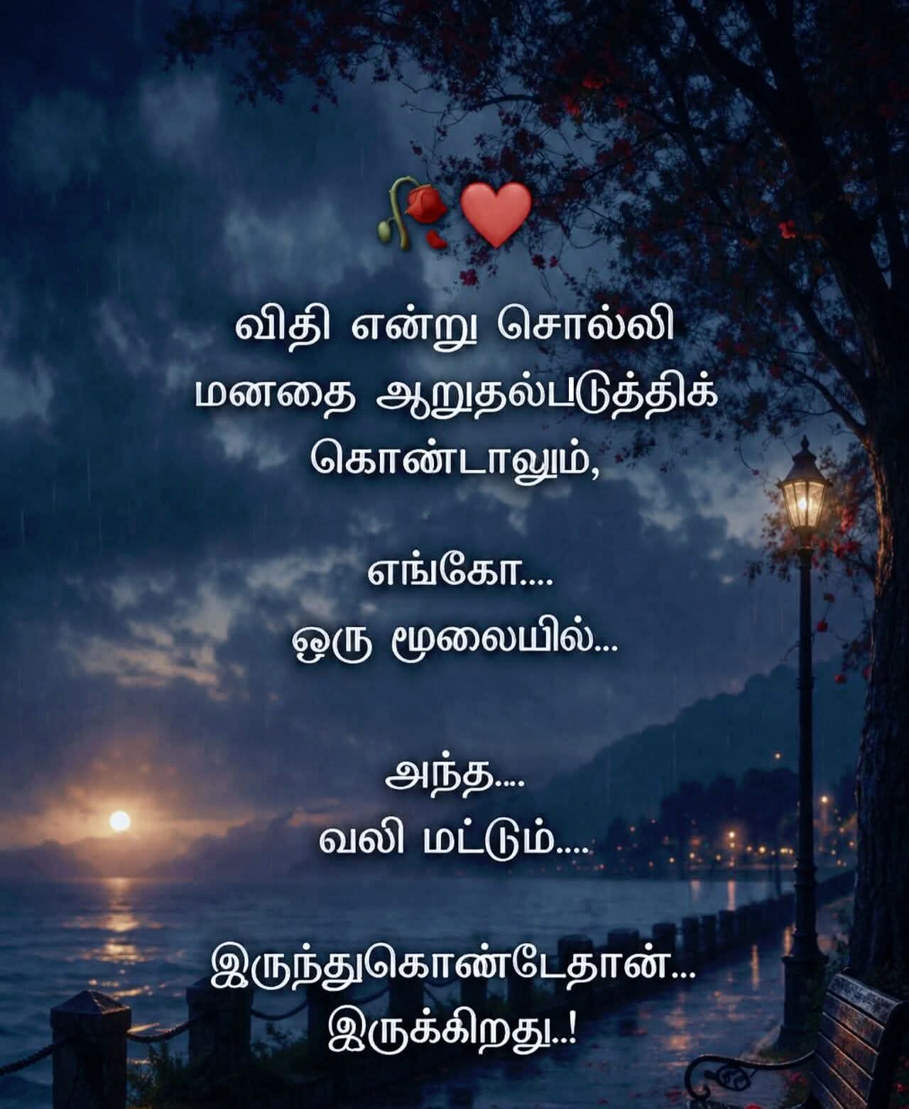 @mansu