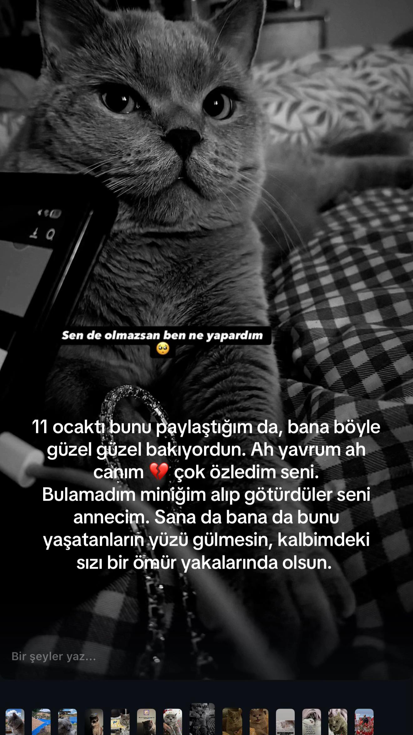 @BULUT KAYIP