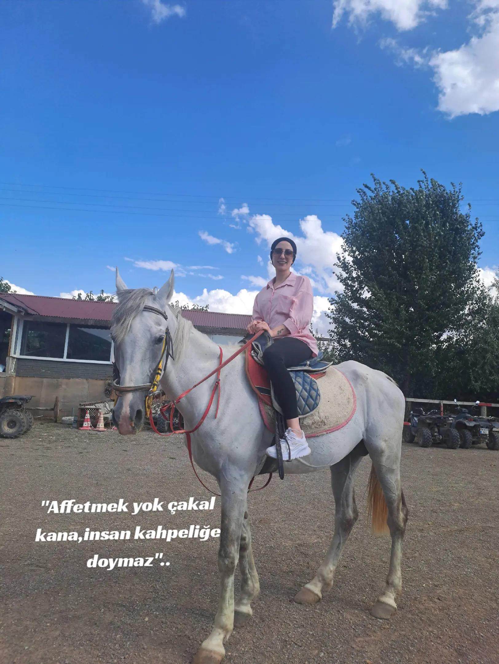@Saliha Bi&ccedil;ici