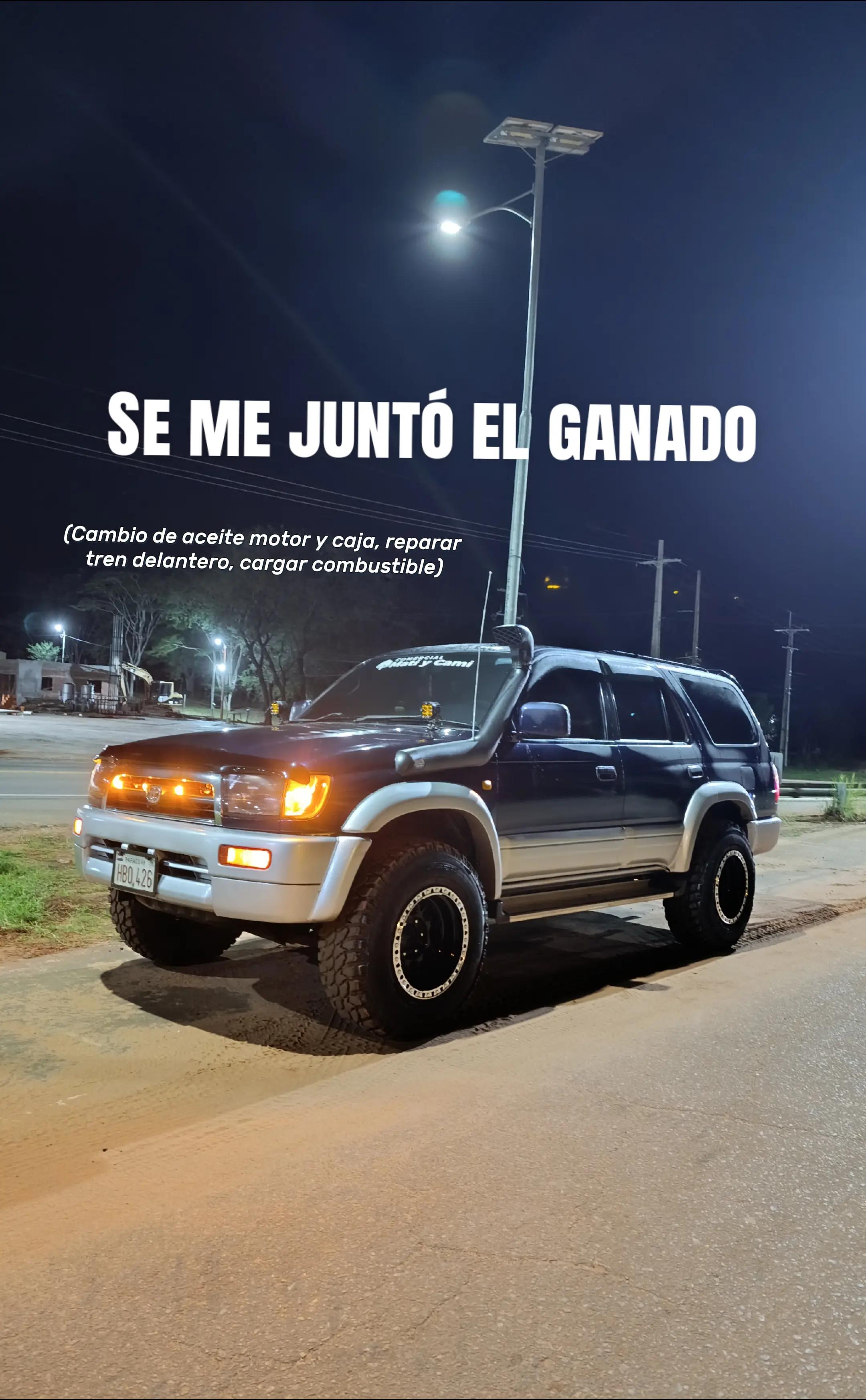 @Camila Diaz
