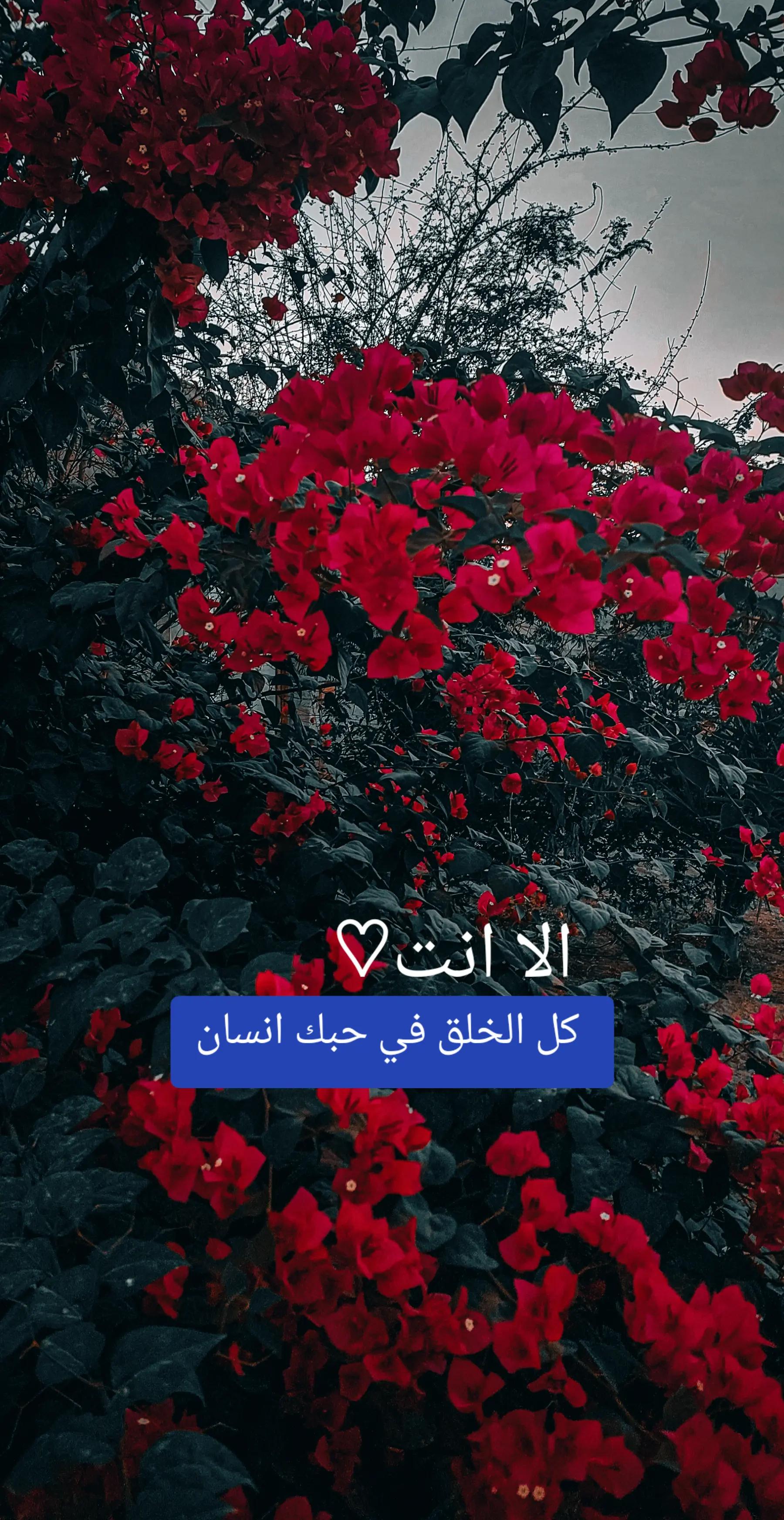 @هـيروو||📸"ᵉᶦ''