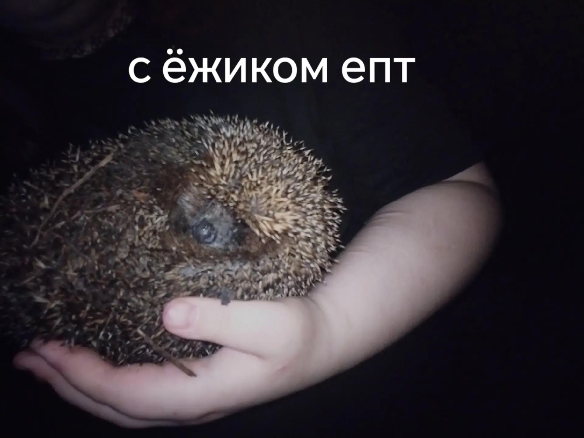@черная