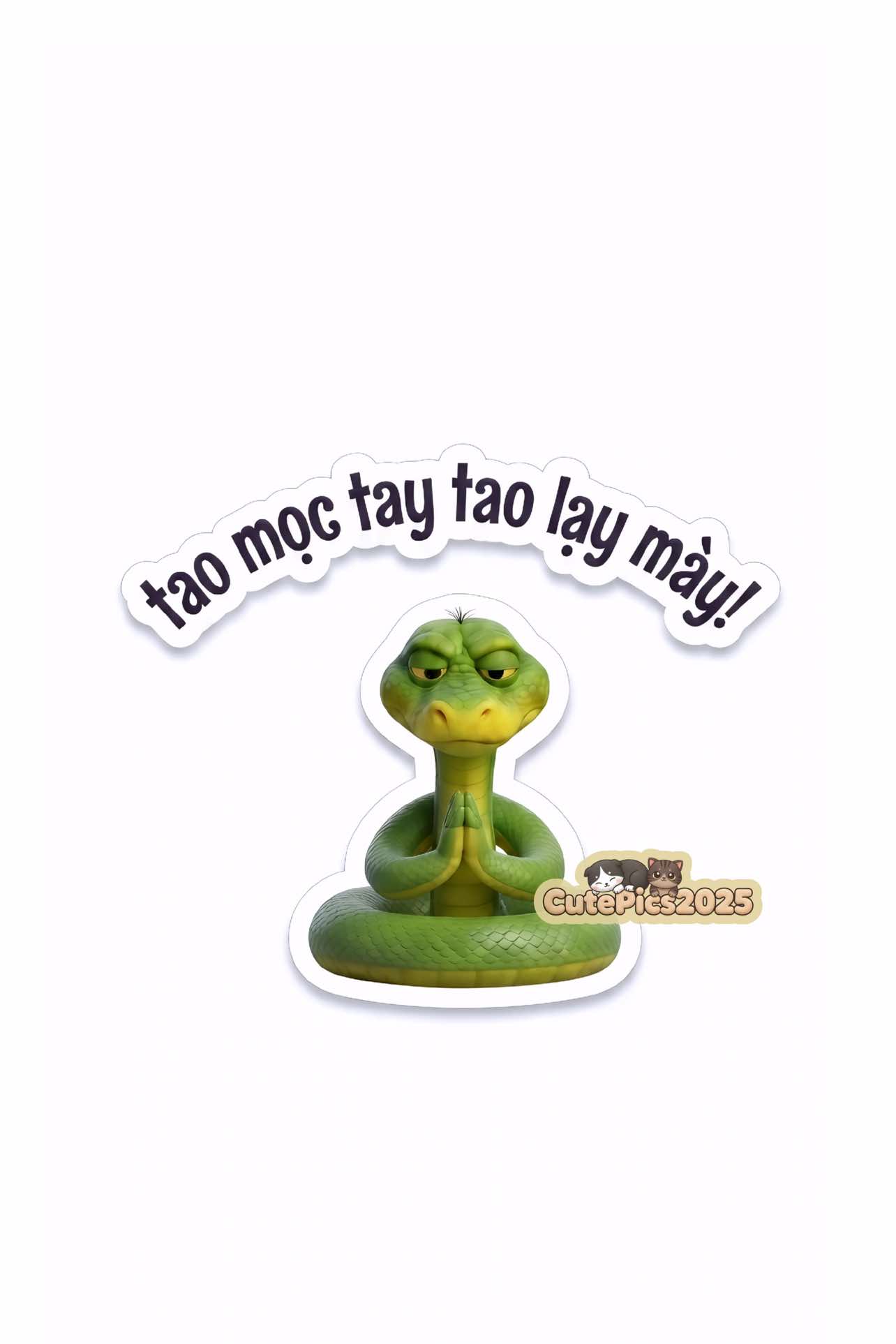 @Cute Pics
