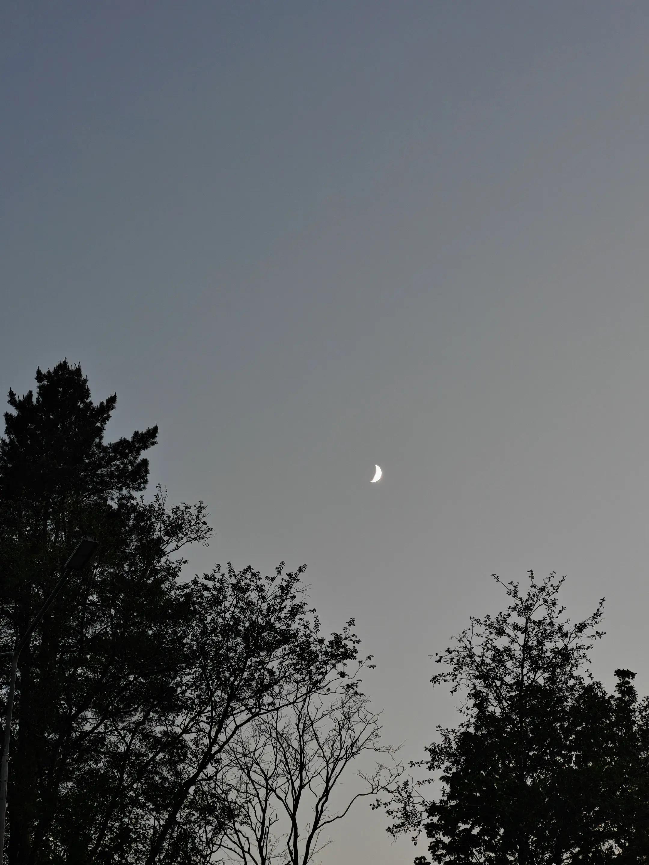 @кирилл