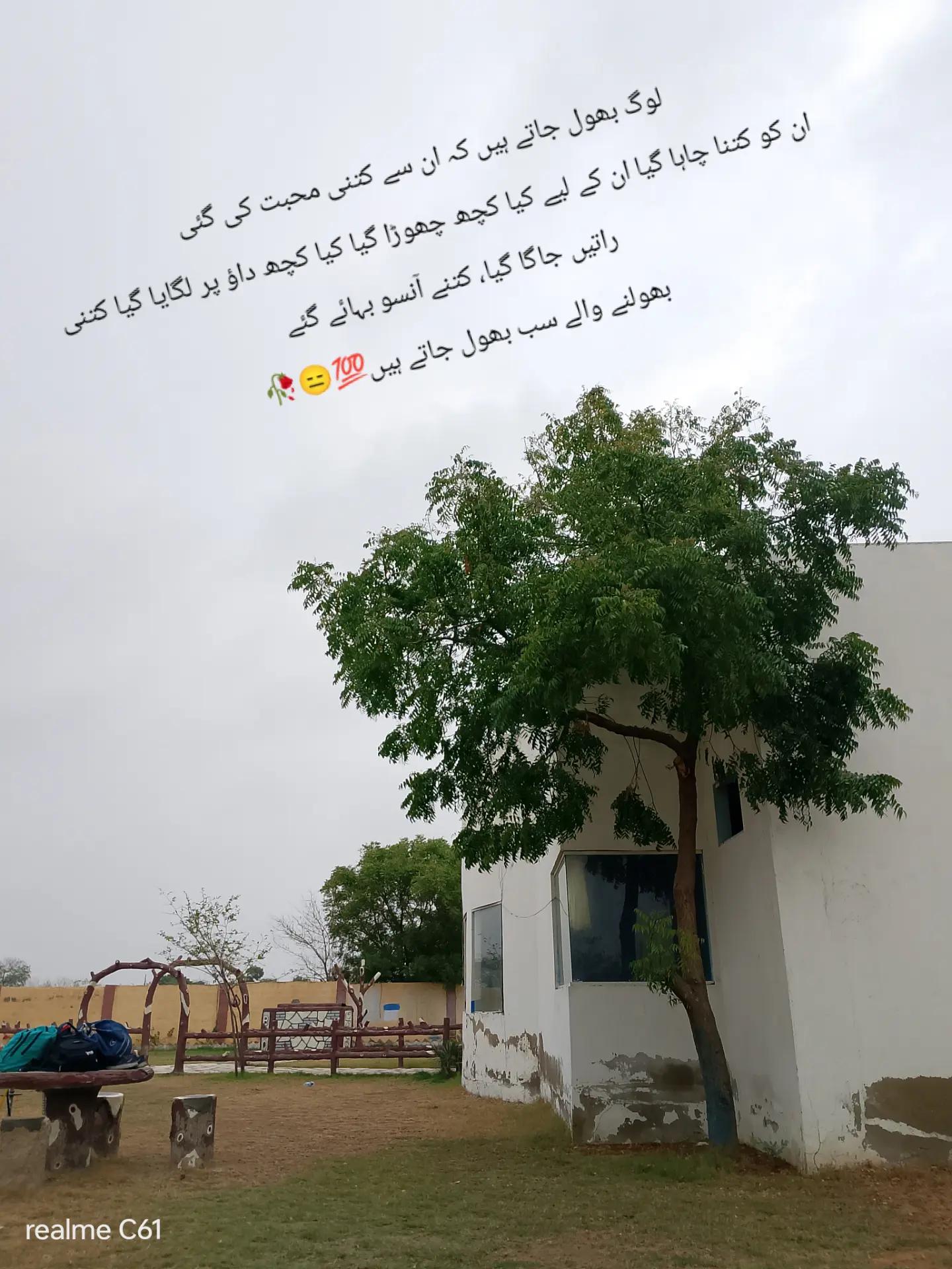 @Sheraz Ali 🥀