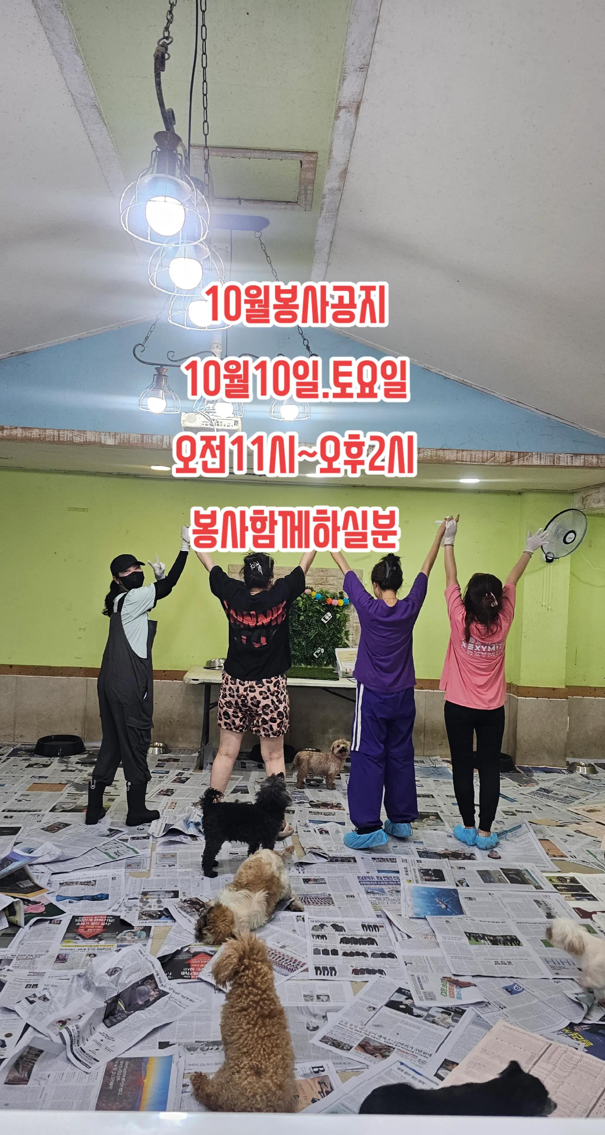 @🐶🐶엄지맘🐕&zwj;🦺🦮🐩