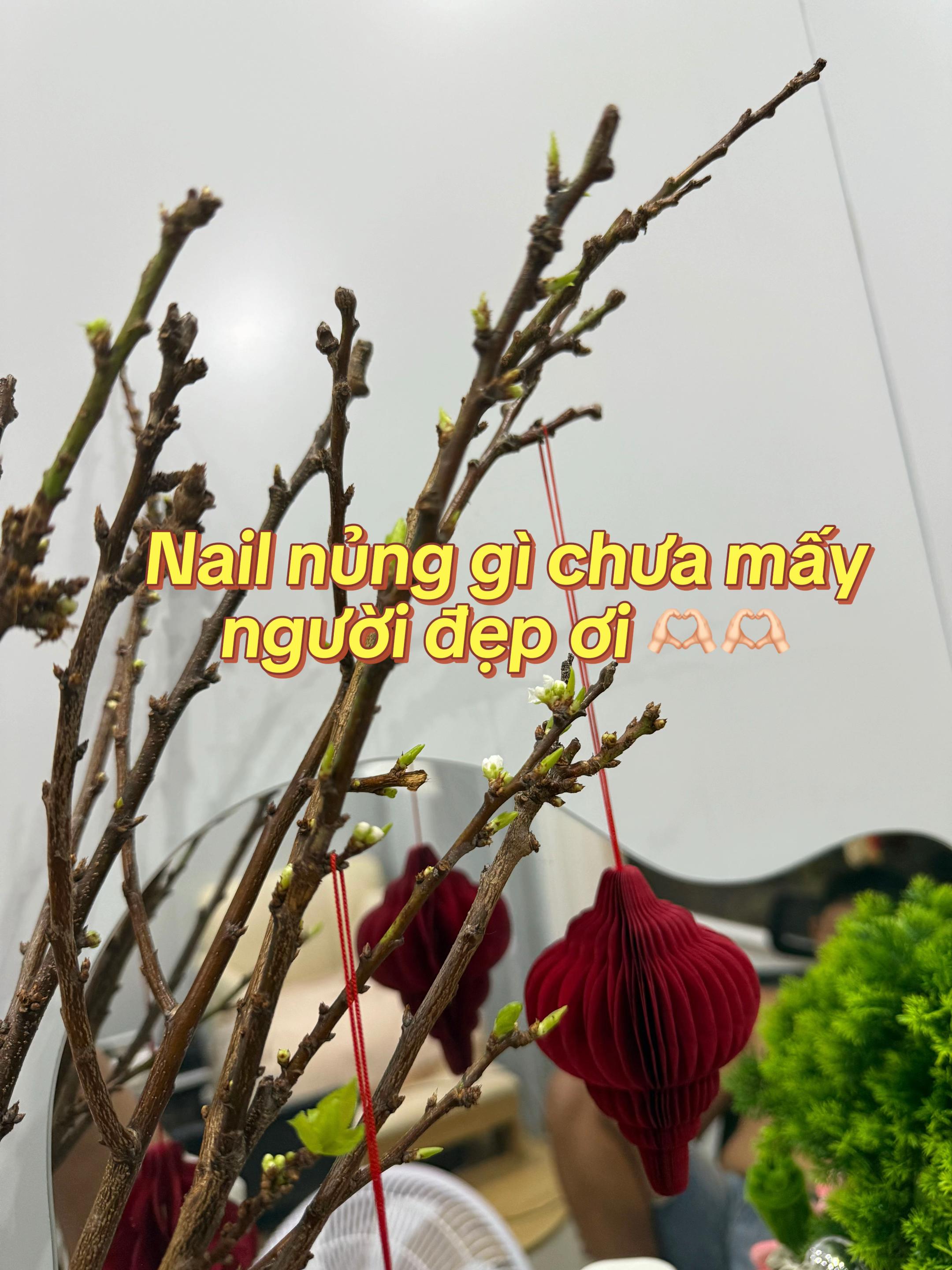 @🧸ྀི⋆𝓟𝓱𝓾𝓸𝓷𝓰 𝓐𝓷𝓱𝜗𝜚˚⋆