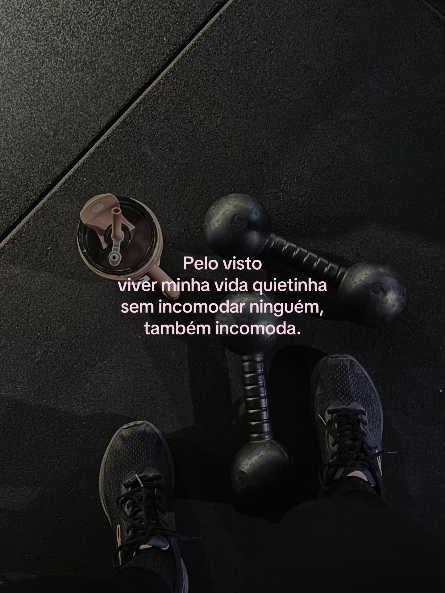 @evelinsilva