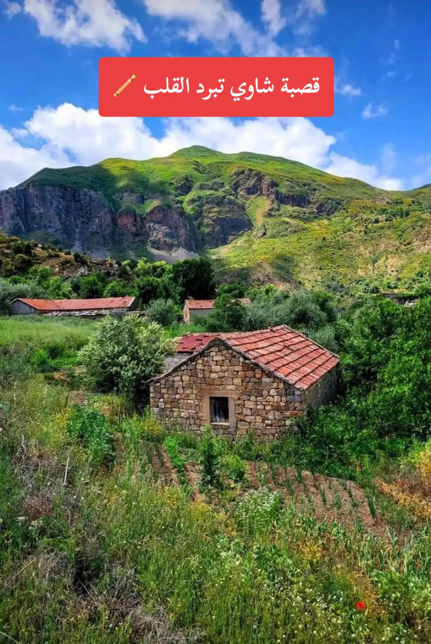 @👑 ابو عقبة 🇩🇿