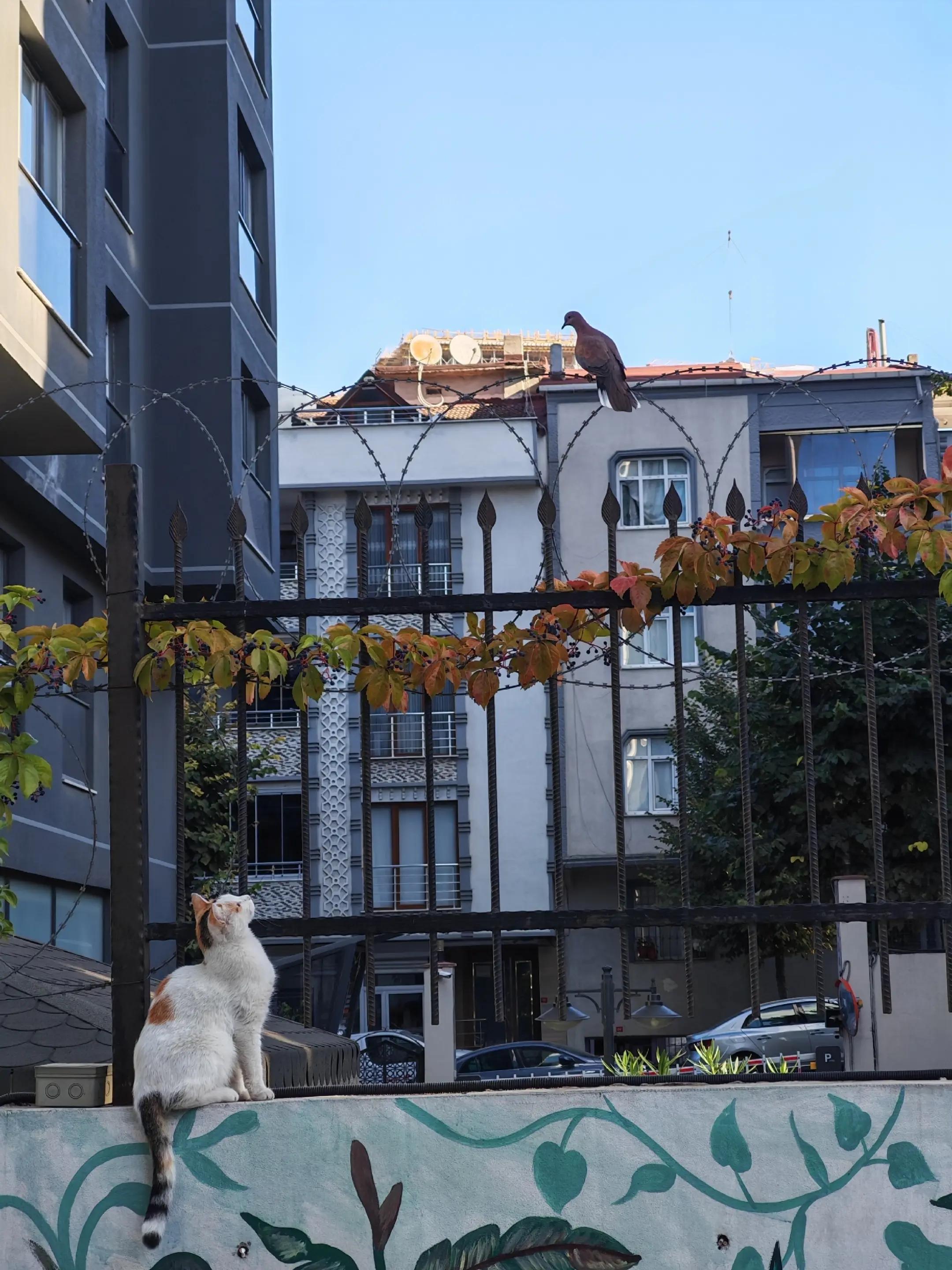 @aktuelbilgi