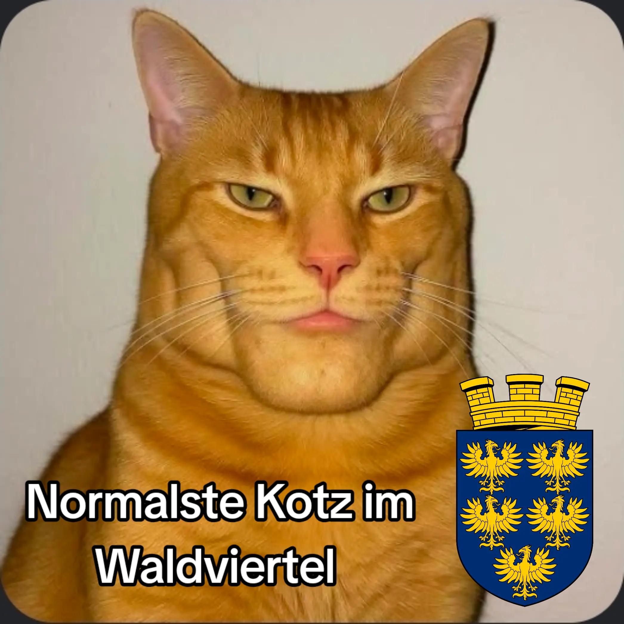 @✝️🇦🇹🤍SÜDTIROL❤️🇦🇹💙NÖ💛✝️