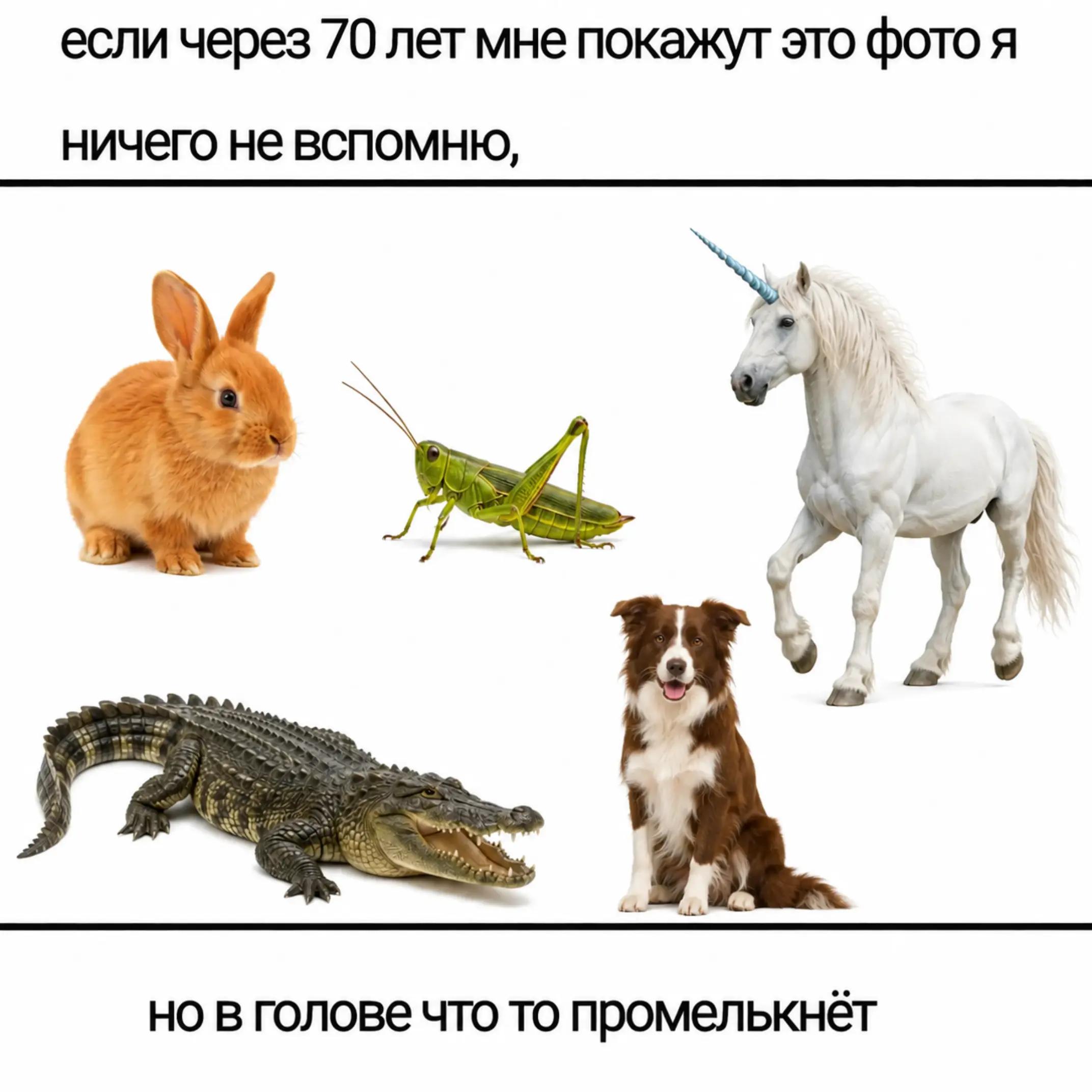 @4urka