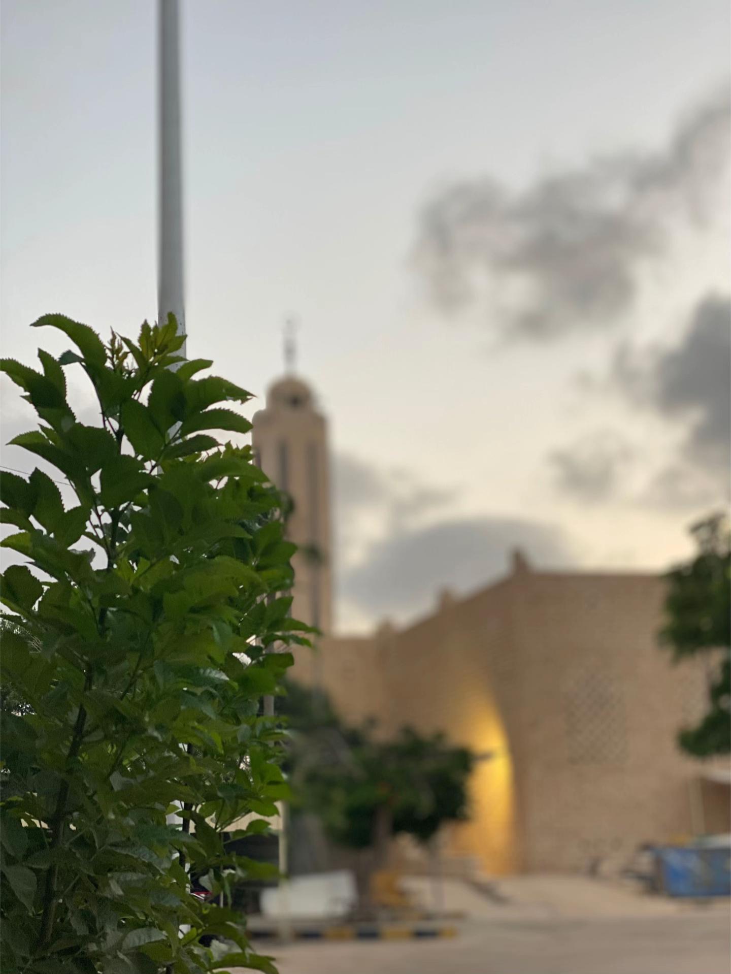 @ابن الساحل ⚡️