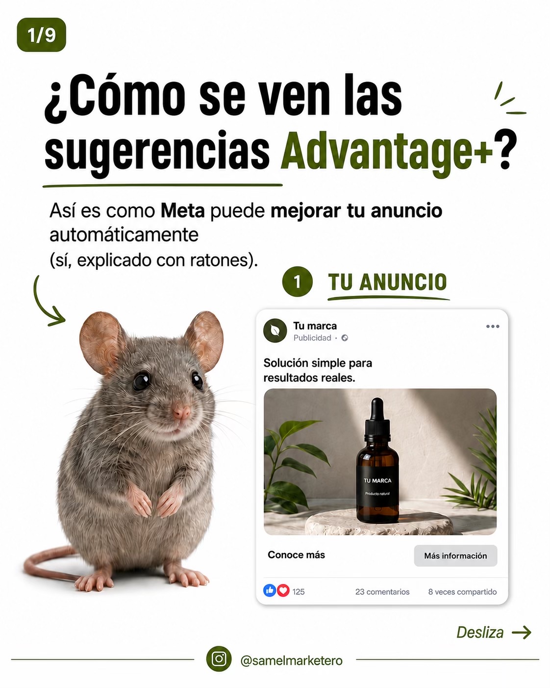 @Sam - Marketing Digital⚡️