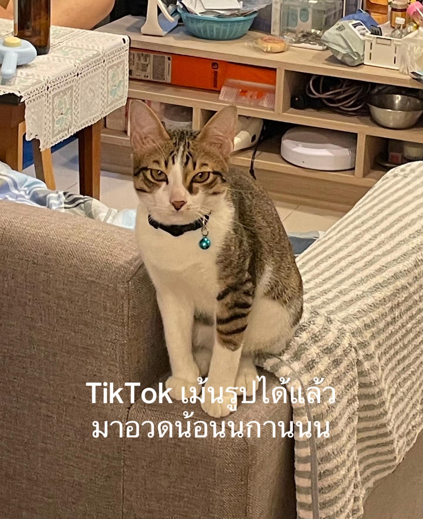 @Pichapim