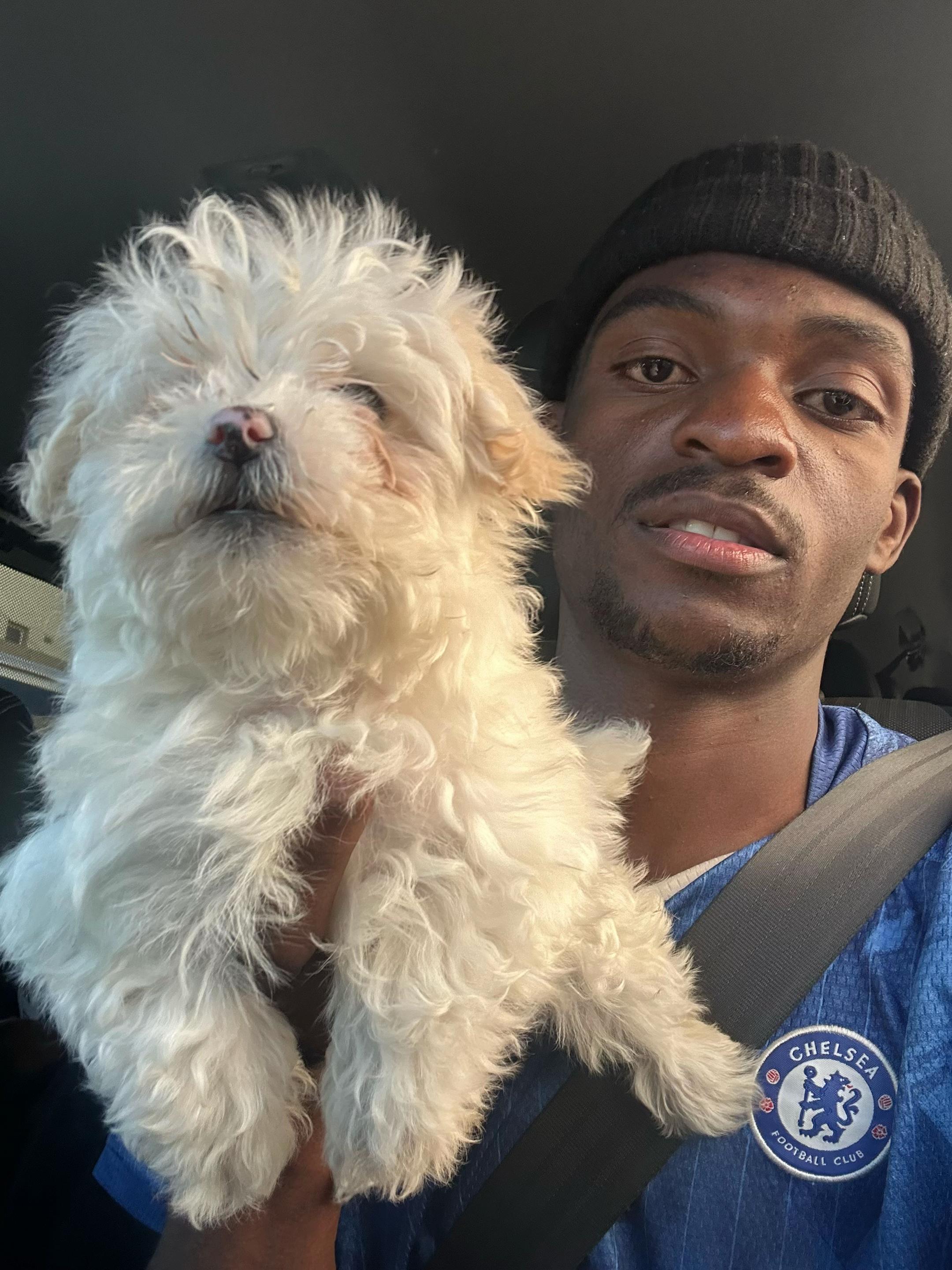 @DracularDogKennels🐶🇿🇼