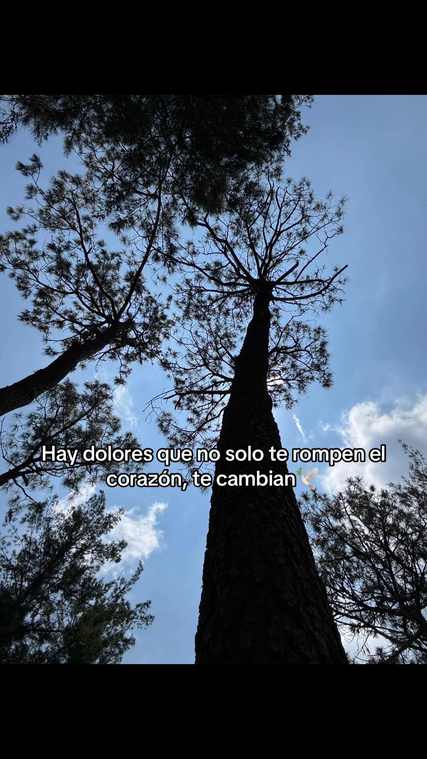 @Carmen 💙✨️