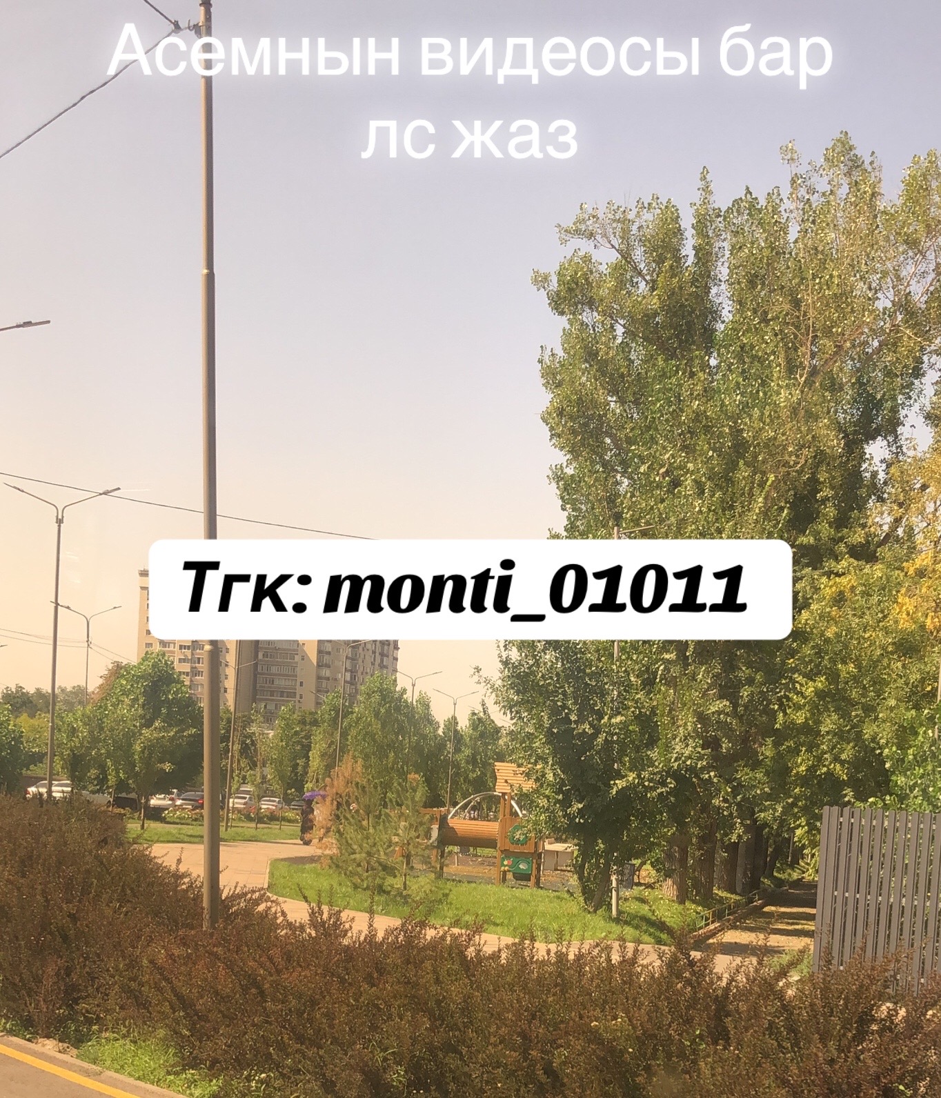 @Kanatovich_00