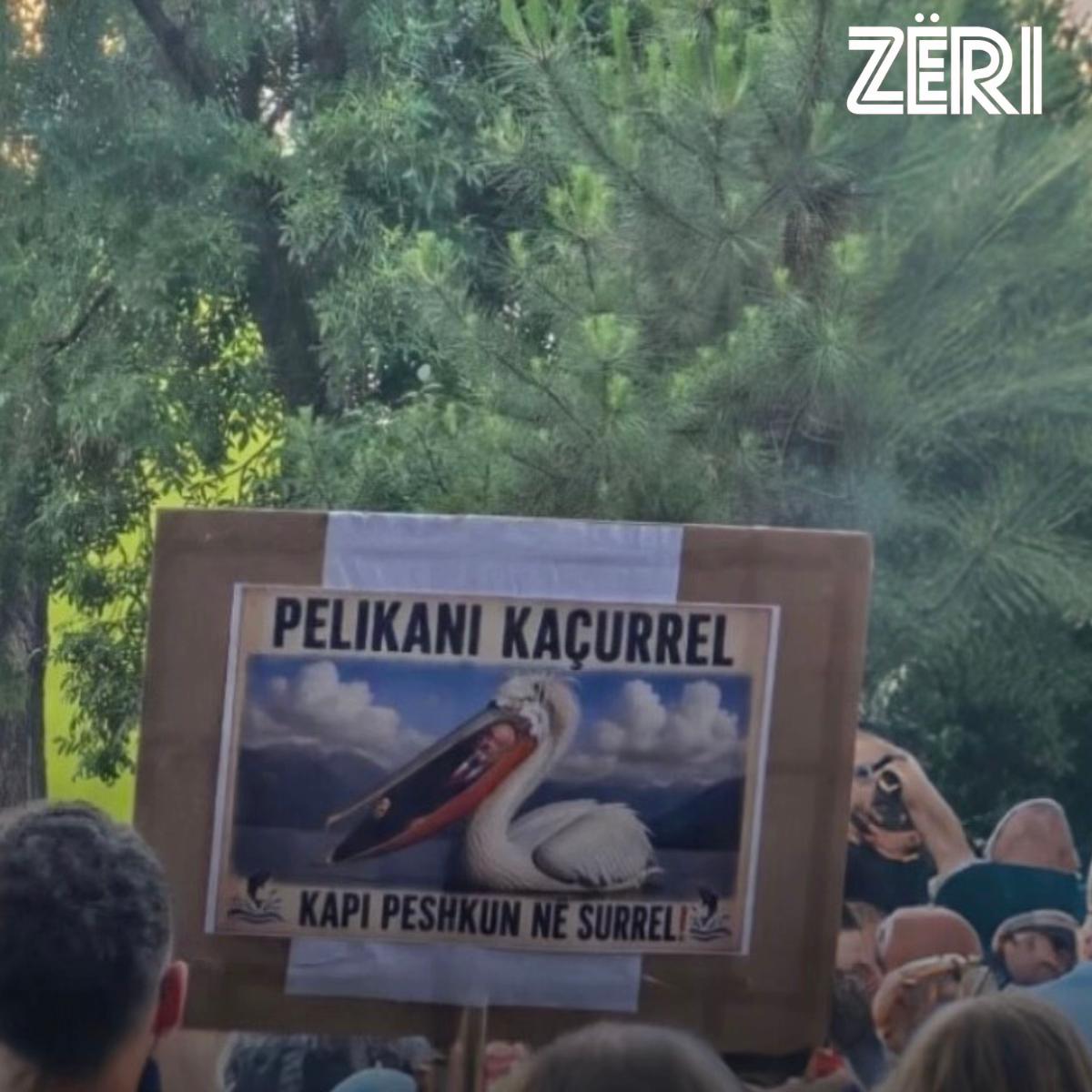 @Z&Euml;RI