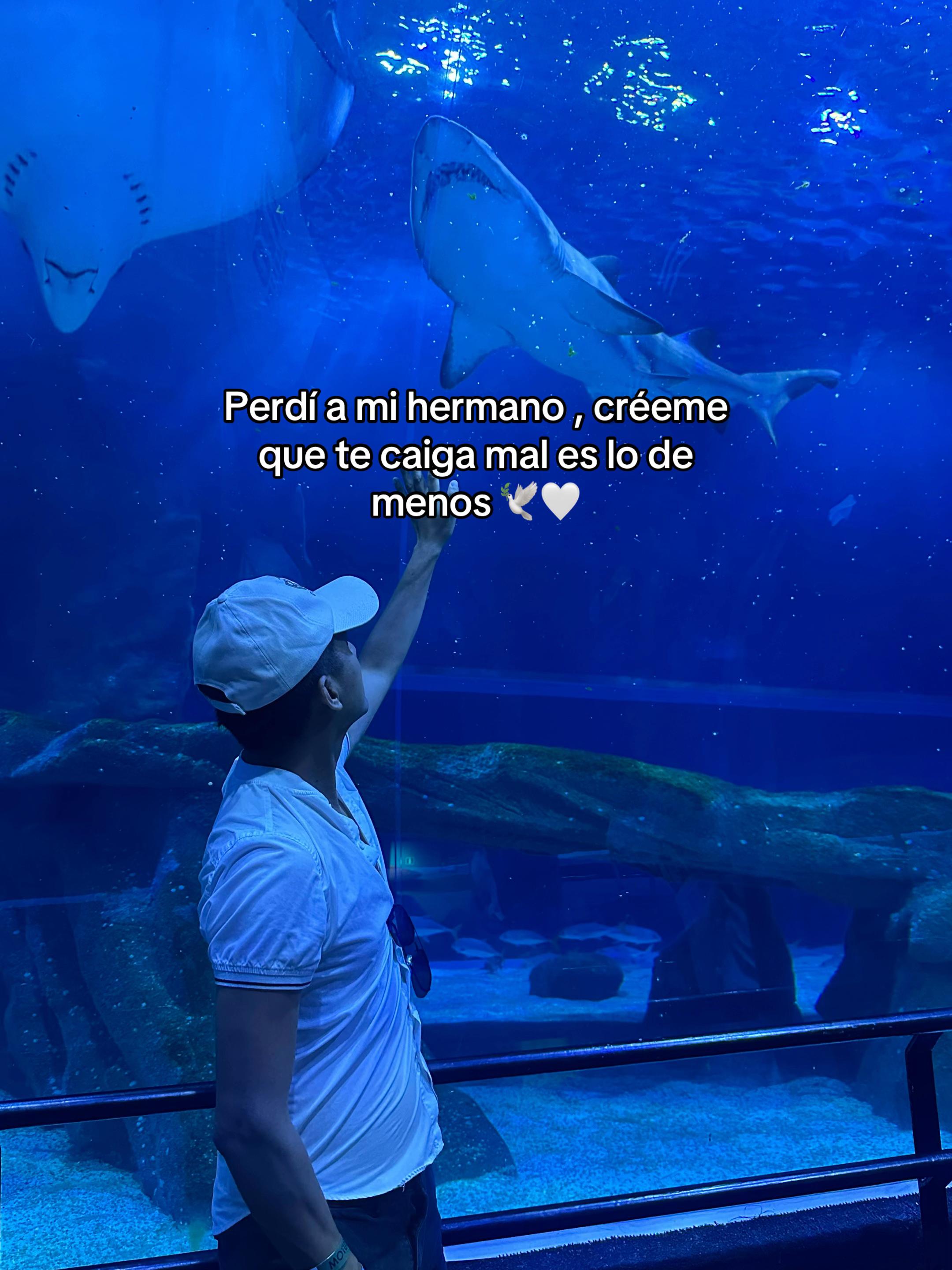 @Eder Castro