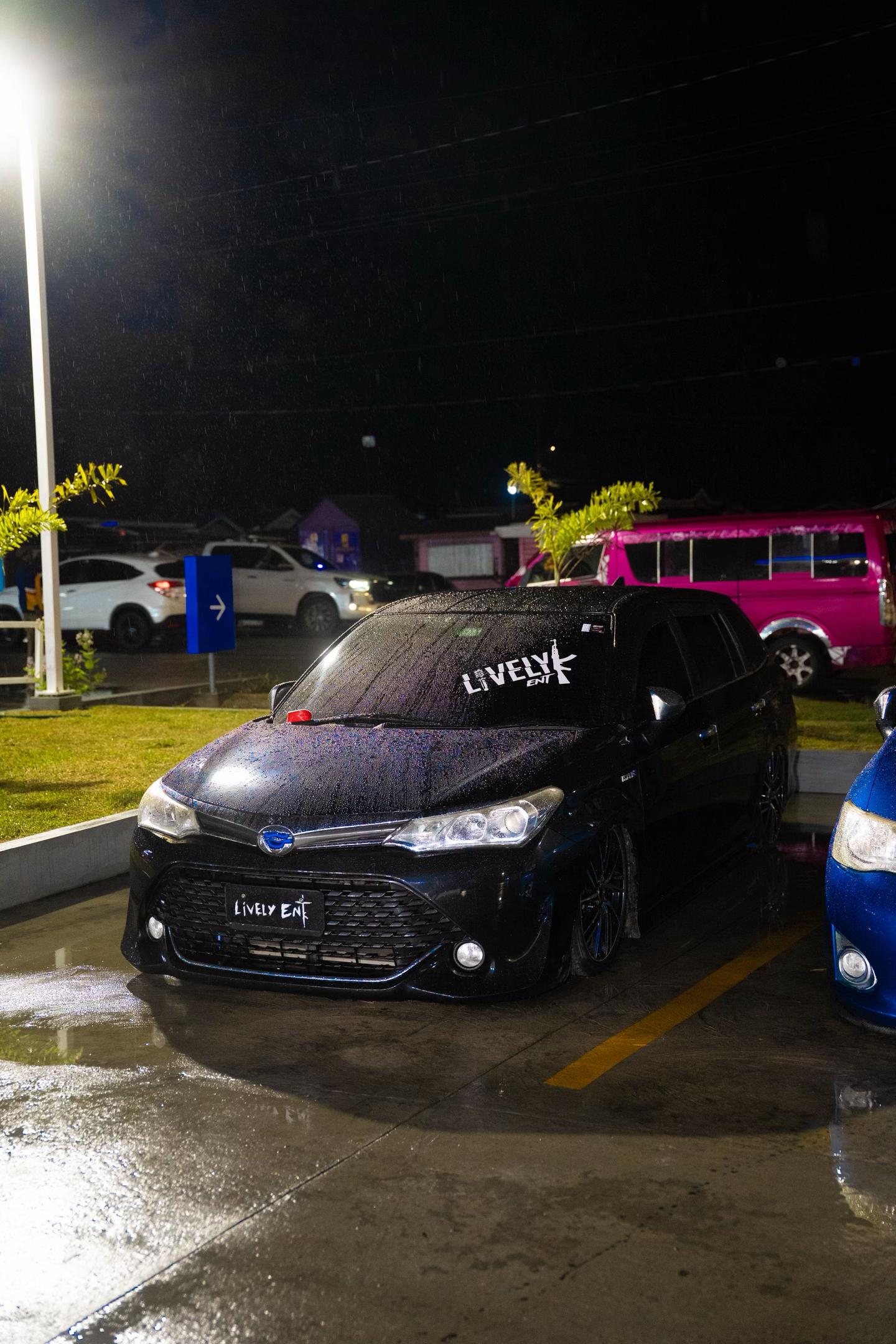 @Lively✓