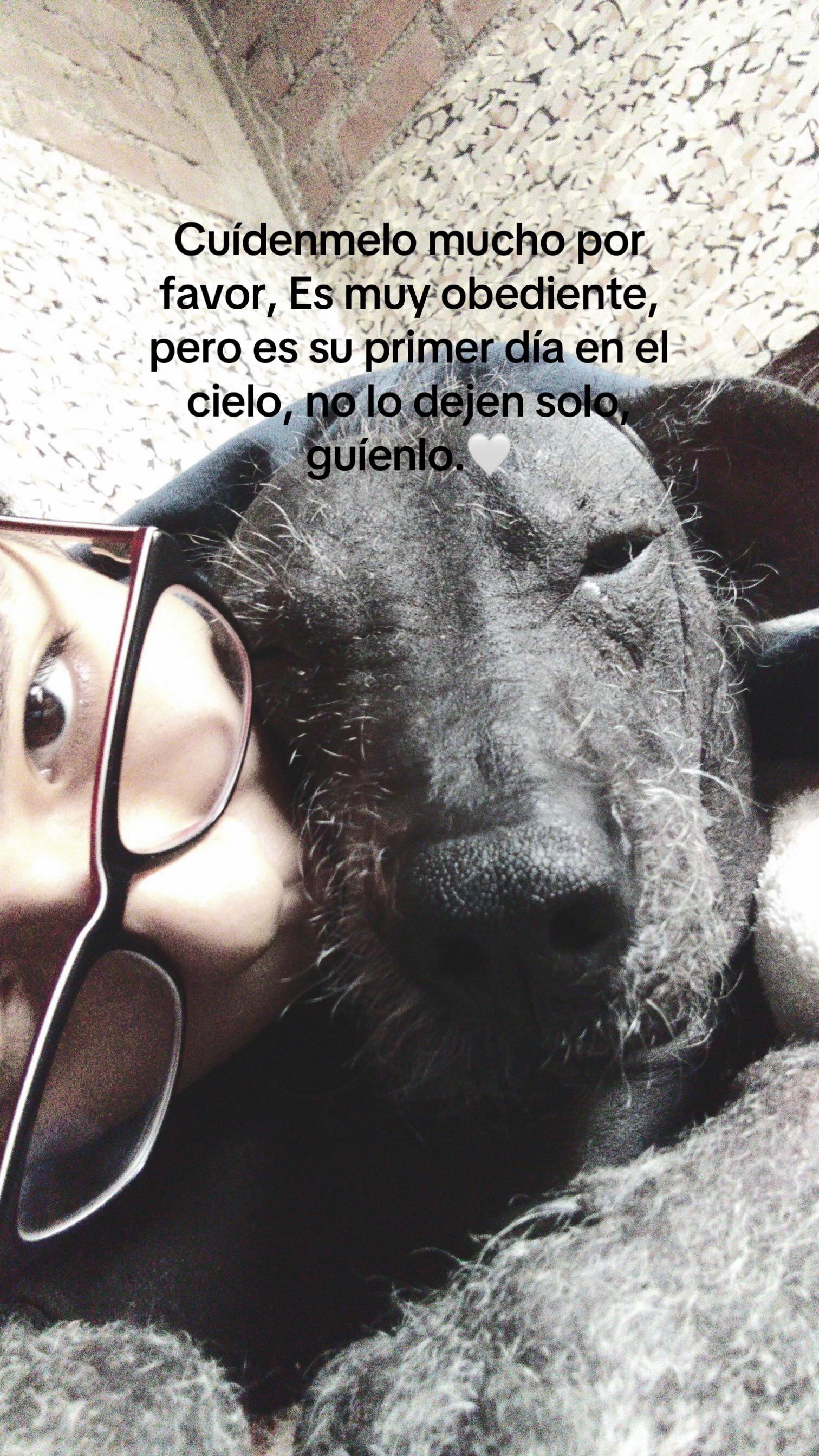 @Pardo