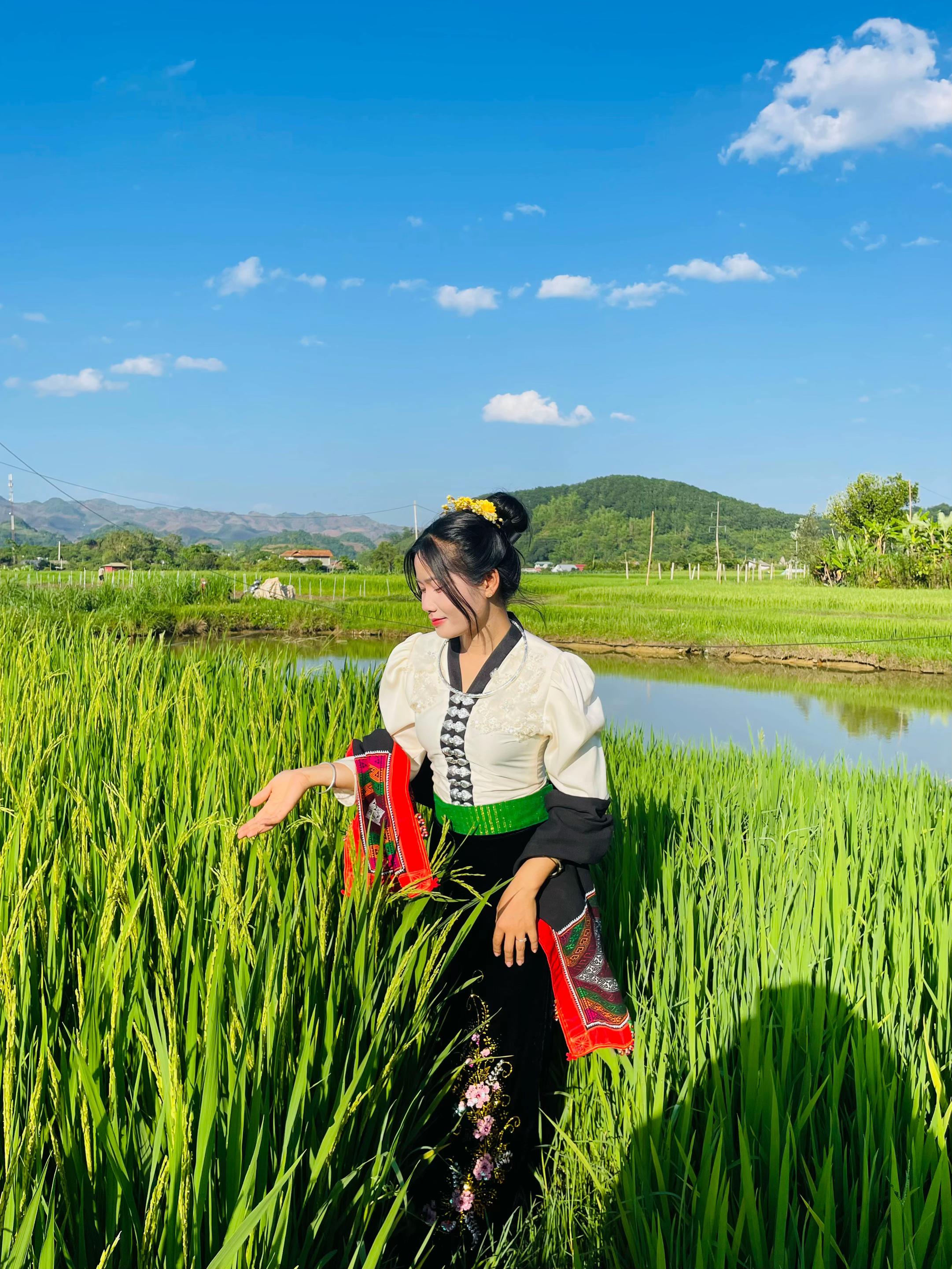 @Nhật Lệ 2k2 🐢