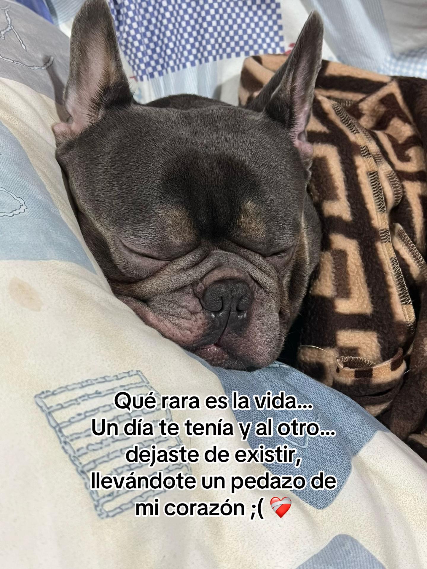 @✨Never forget✨