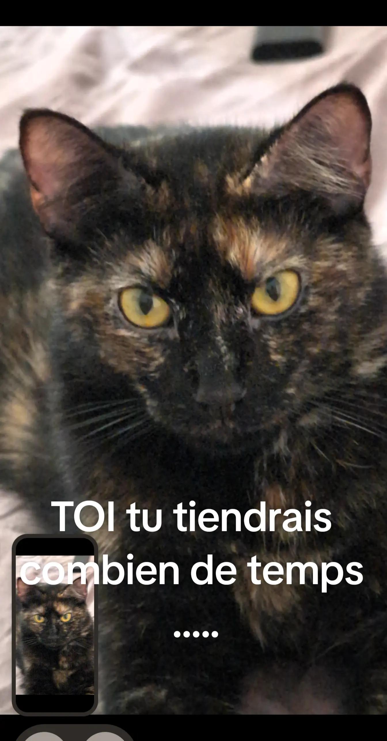 @nilem