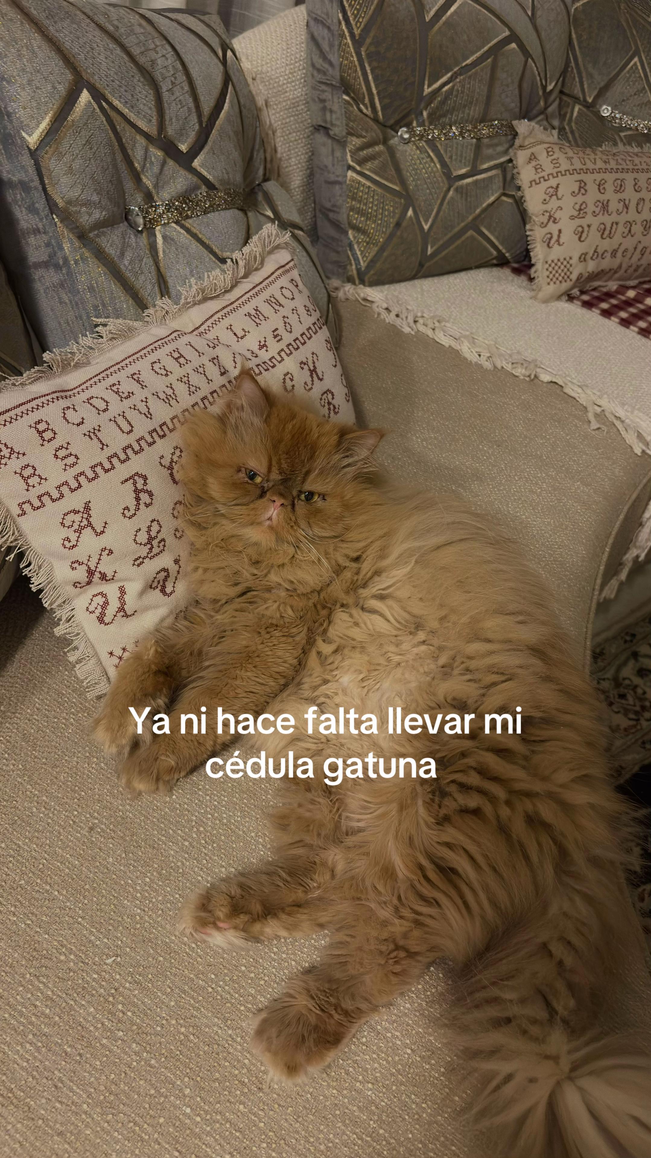 @Paloma Hopf