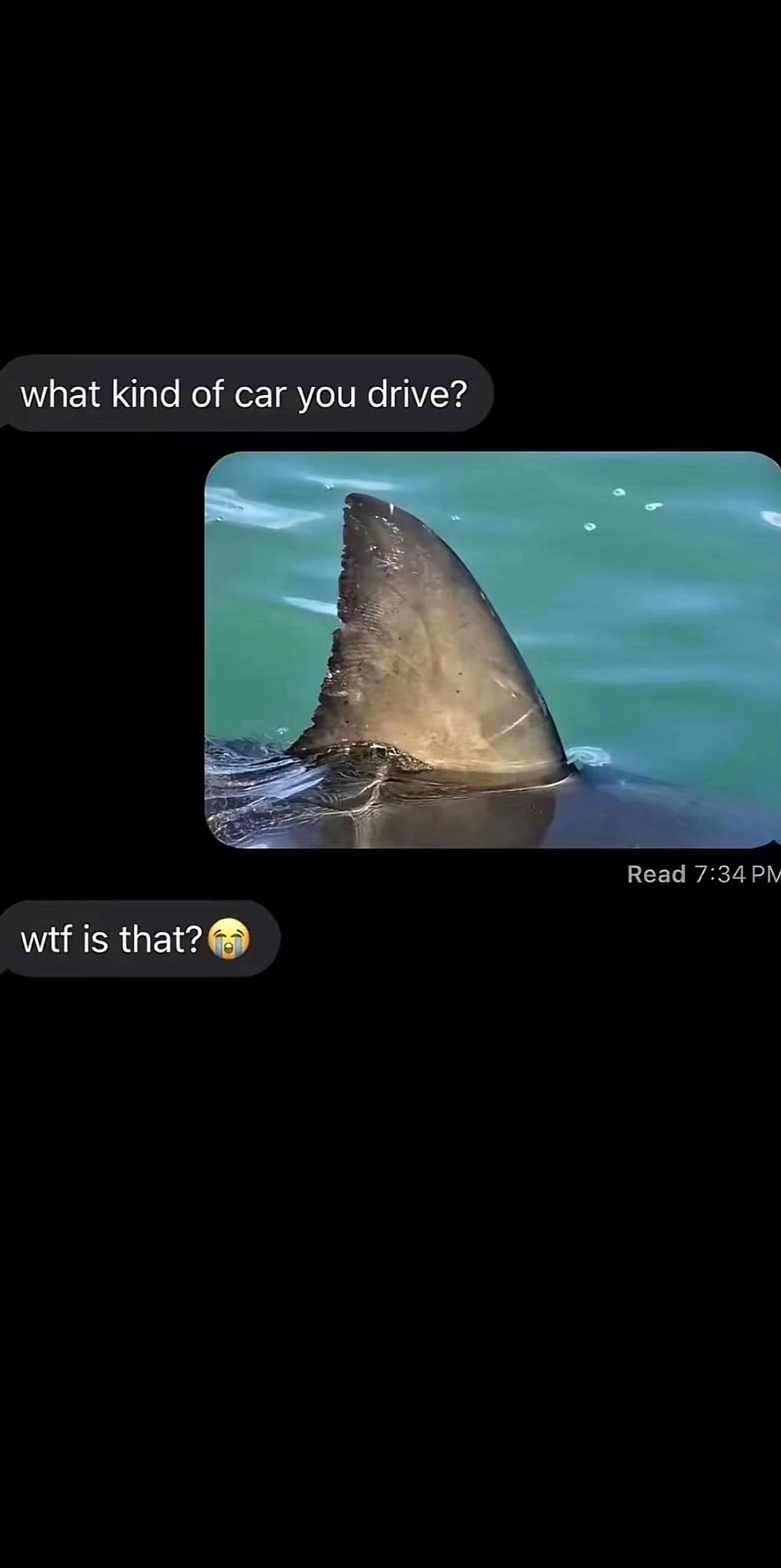 @vondetailedit