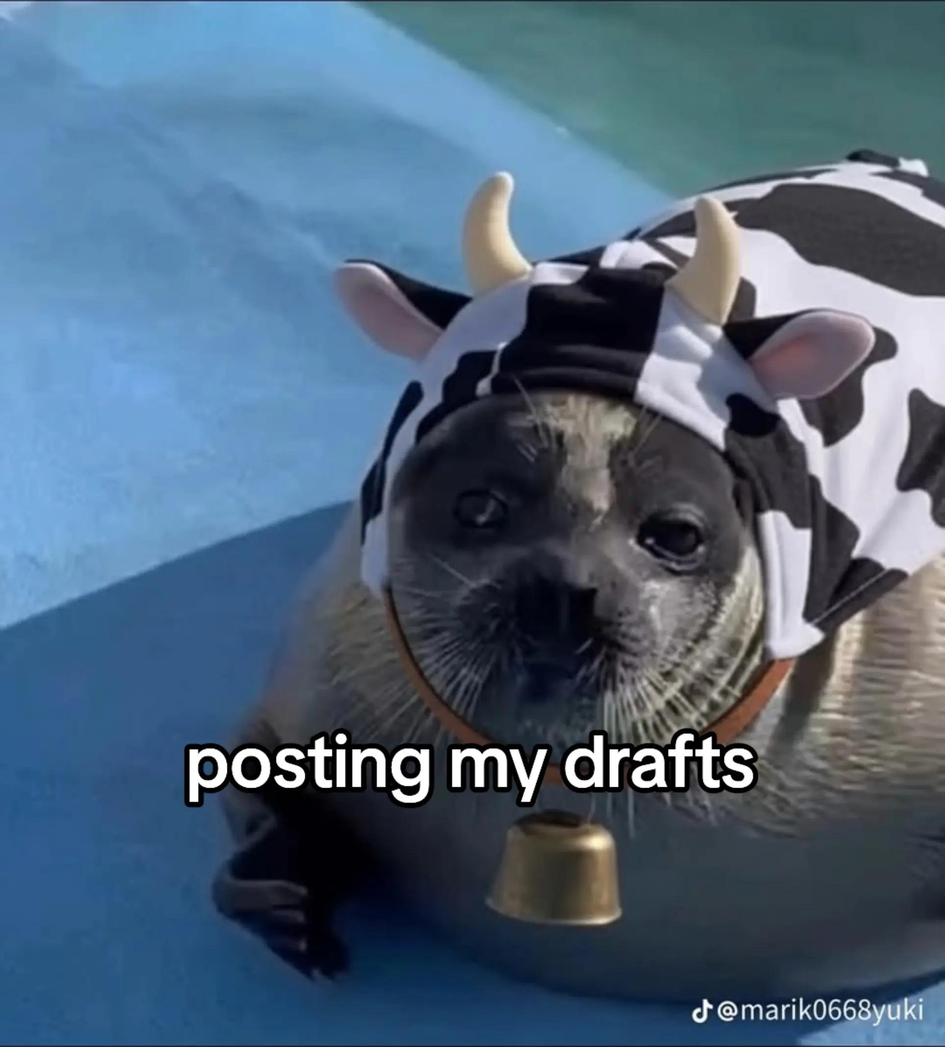 @fat rat
