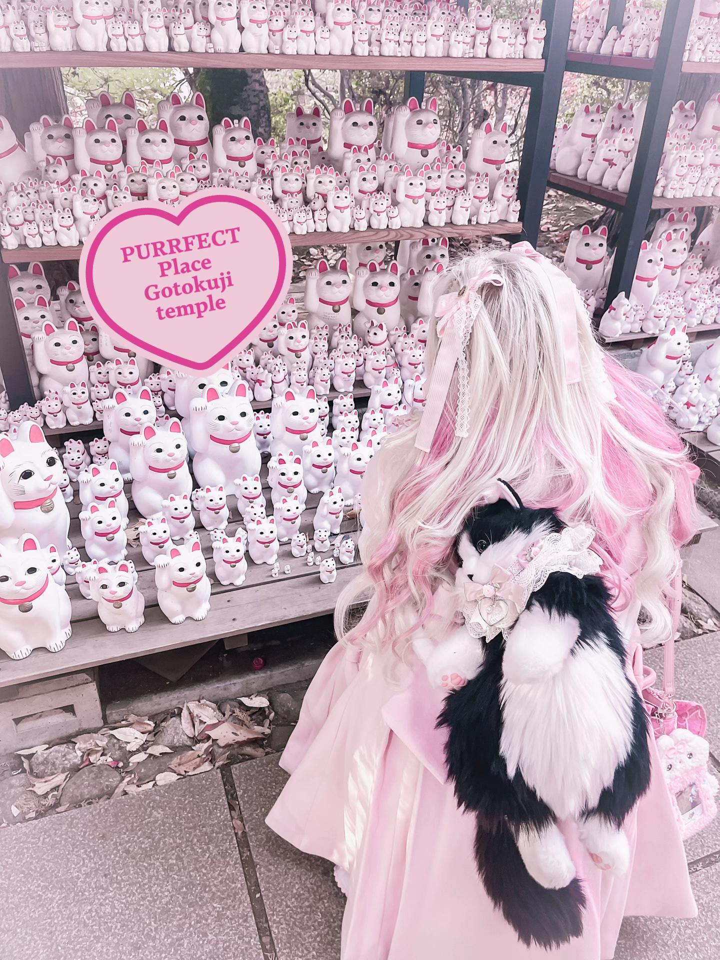 @𝒜𝓂𝒶𝓃𝒹𝒶 ໒꒰ྀི ˶&bull; ༝ &bull;˶ ꒱ྀི১