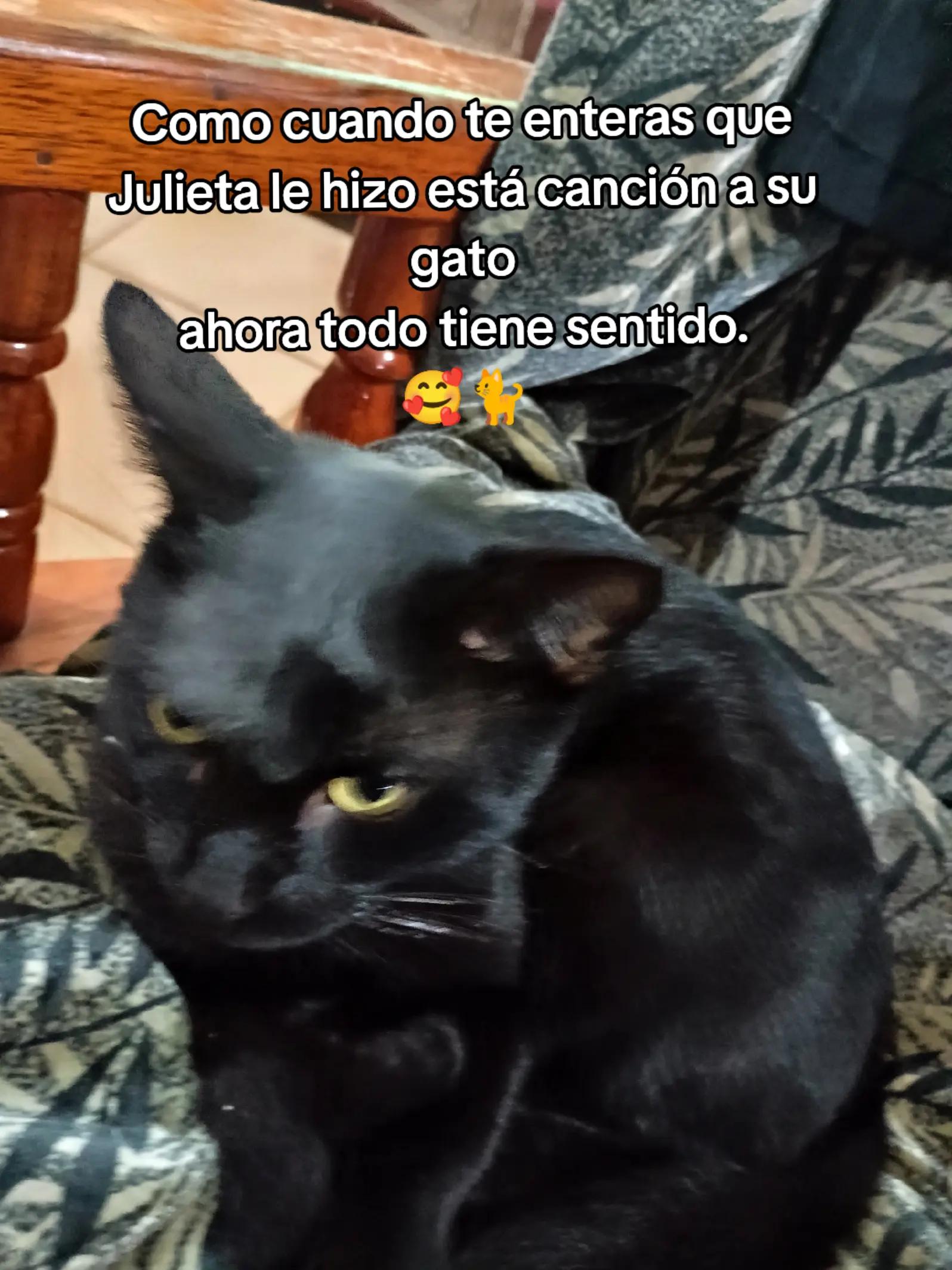 @Arc_avo