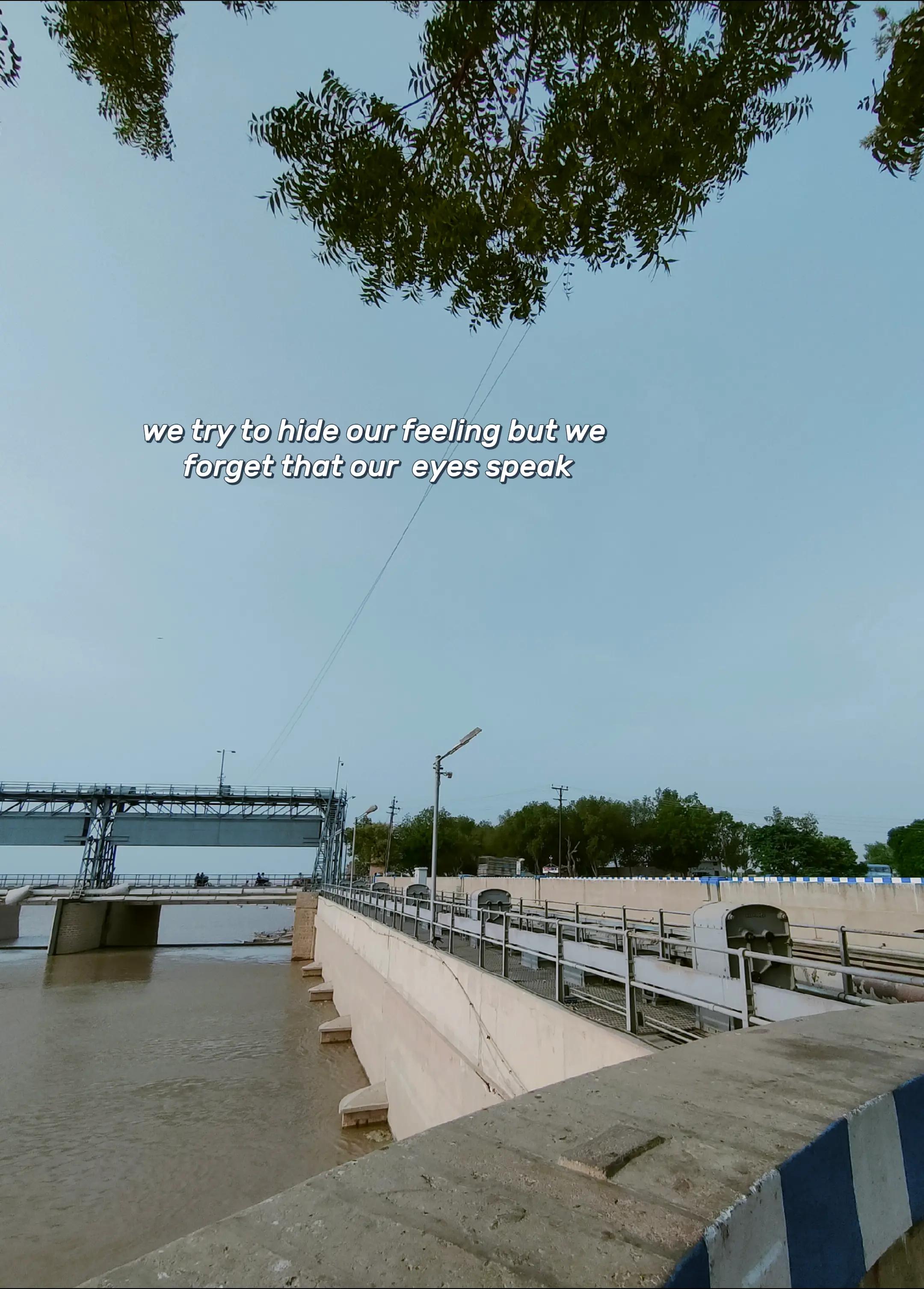 @♡︎ 𝑴 𝑨 𝑯 𝑰 ♡︎ 🌷