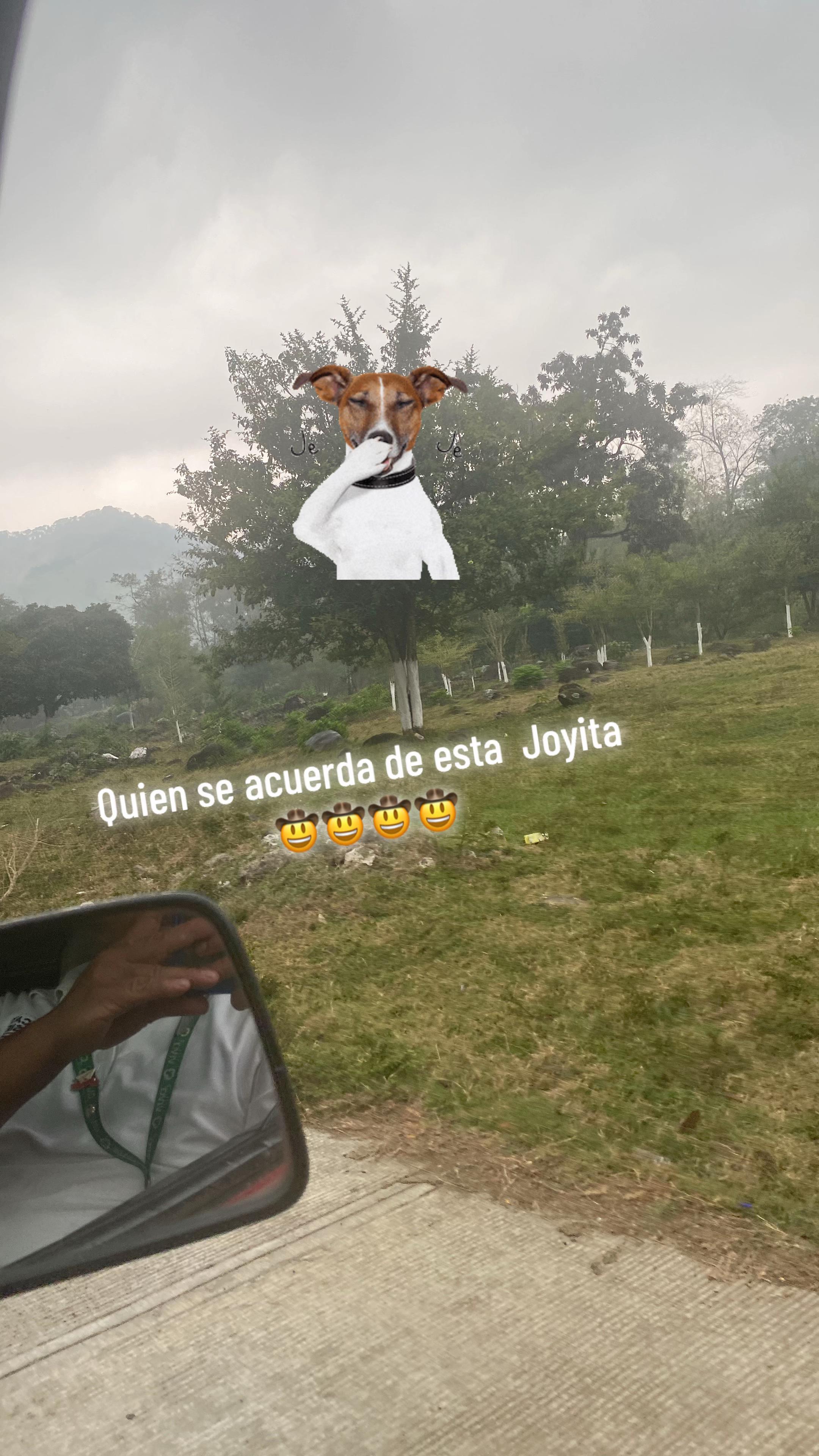 @PeterGhost🇲🇽✈️