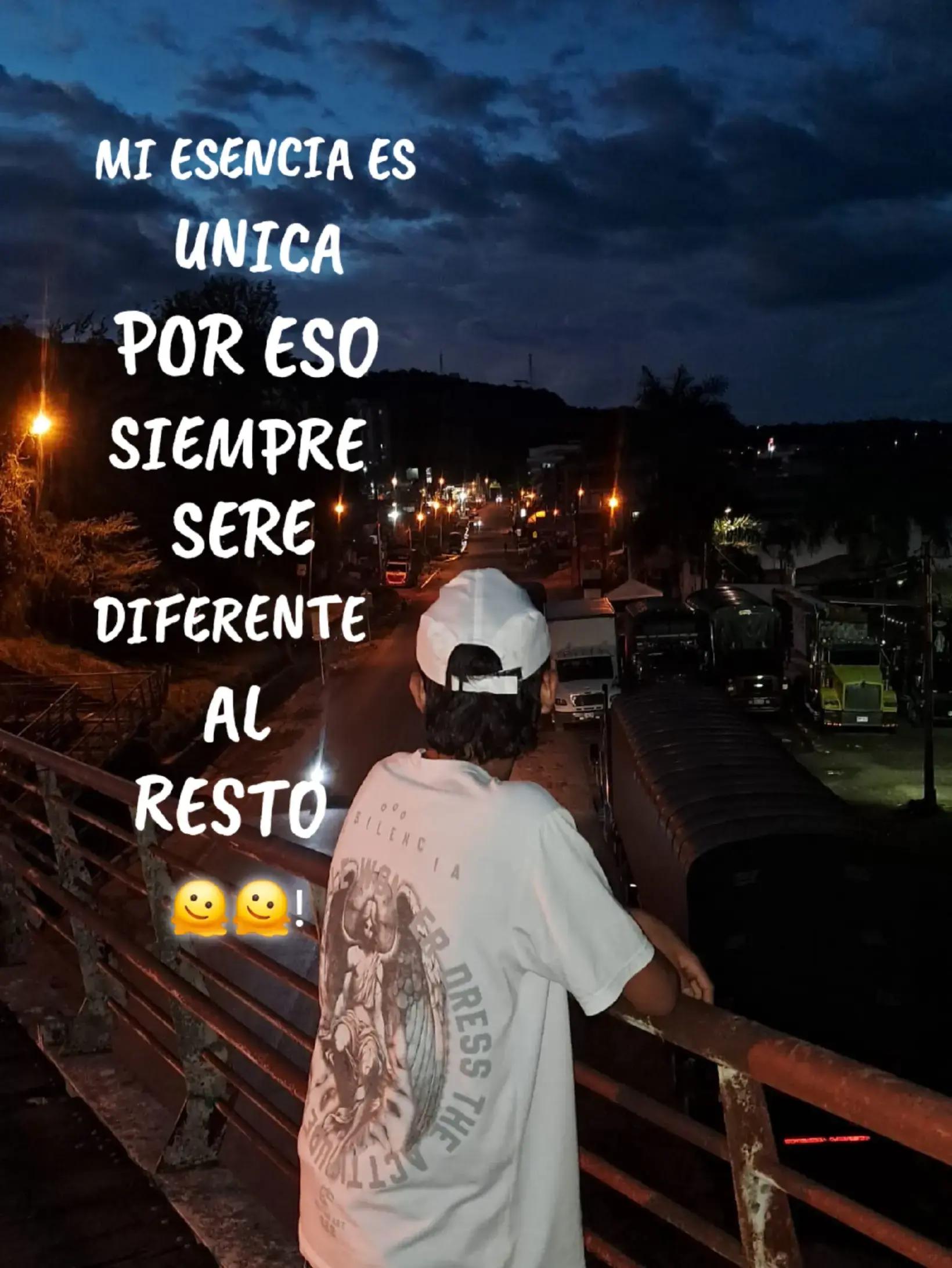 @🐻deivx_1🐻
