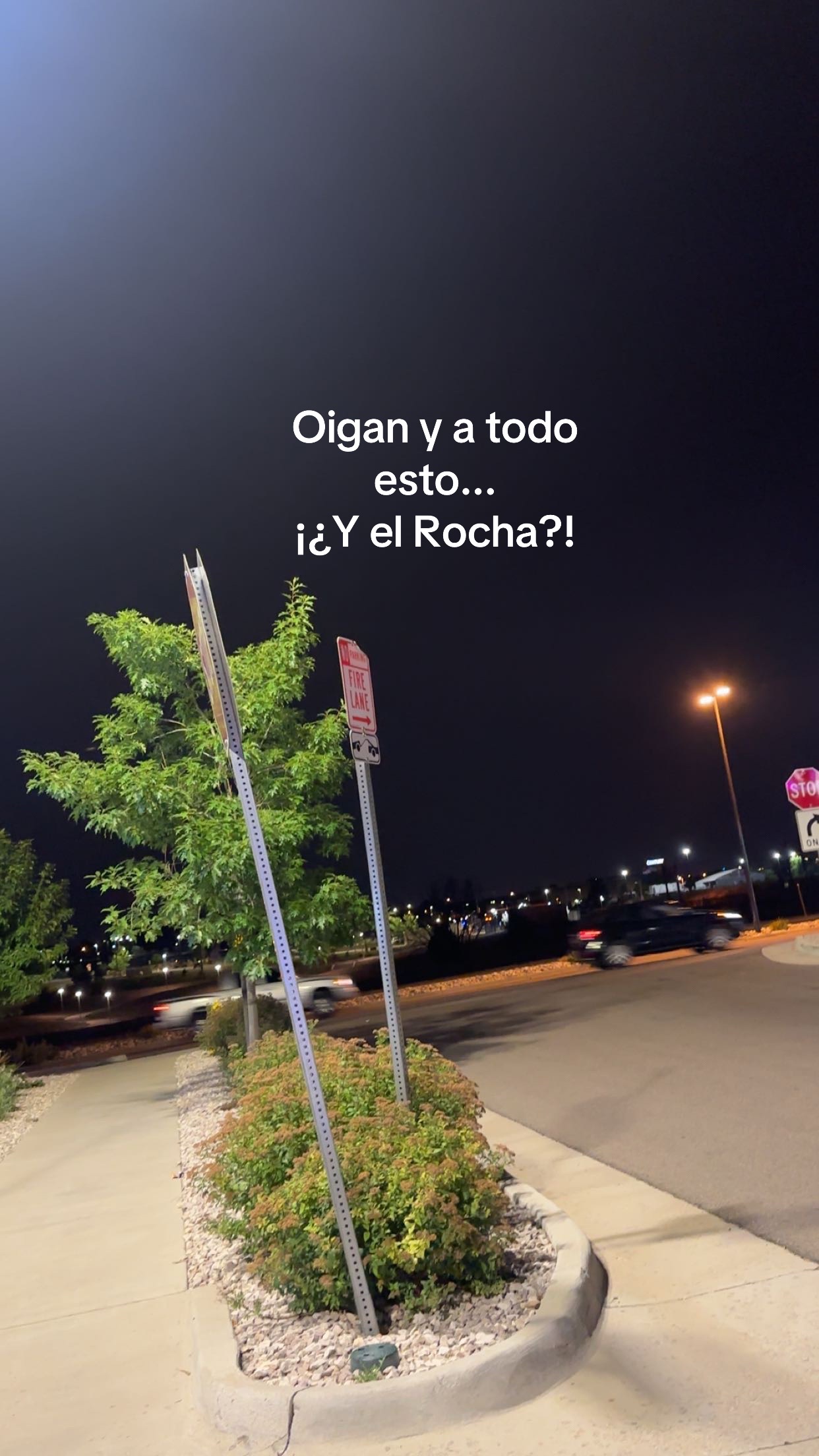 @giavibees
