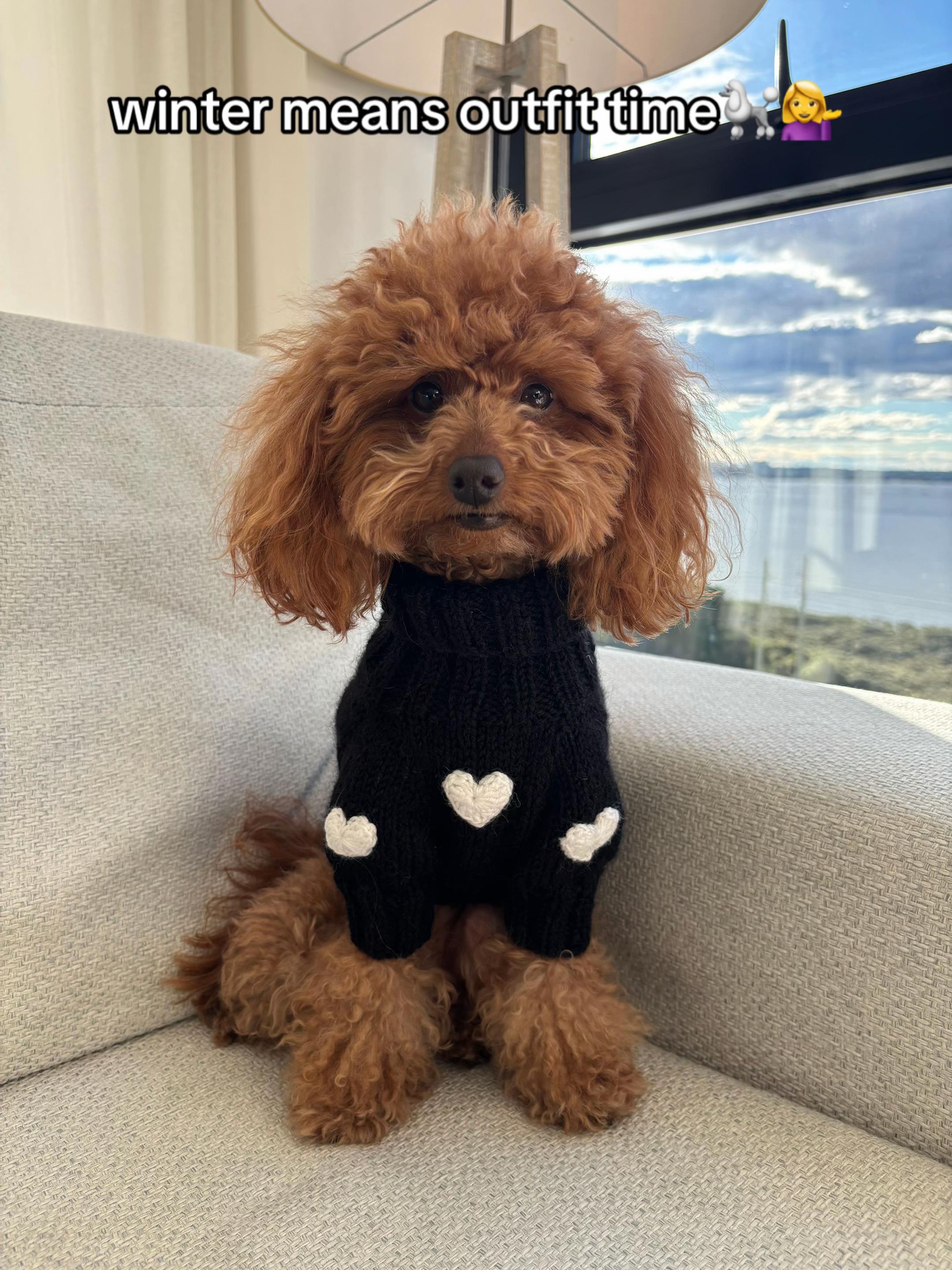 @peppermytoypoodle