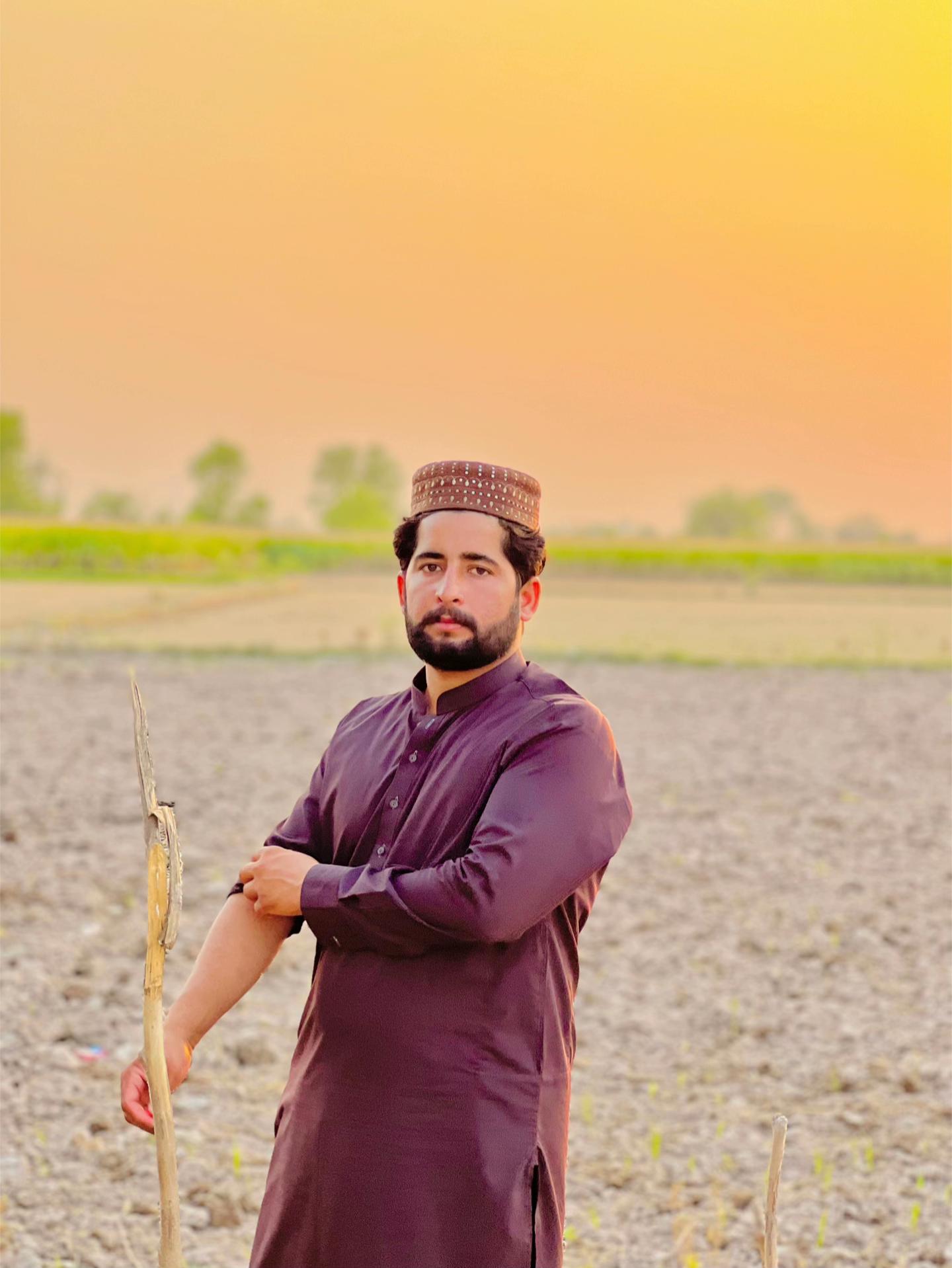 @پینڈو بوائز 378