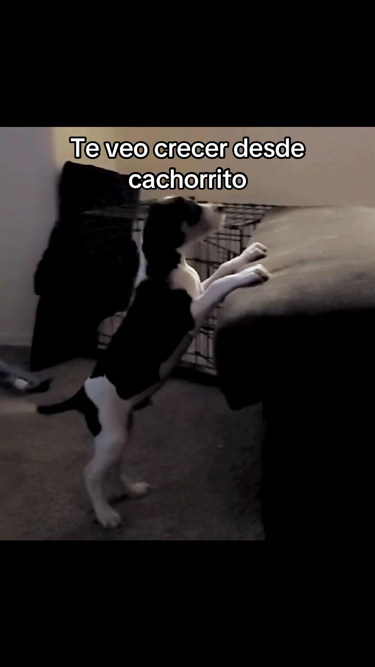 @GORU