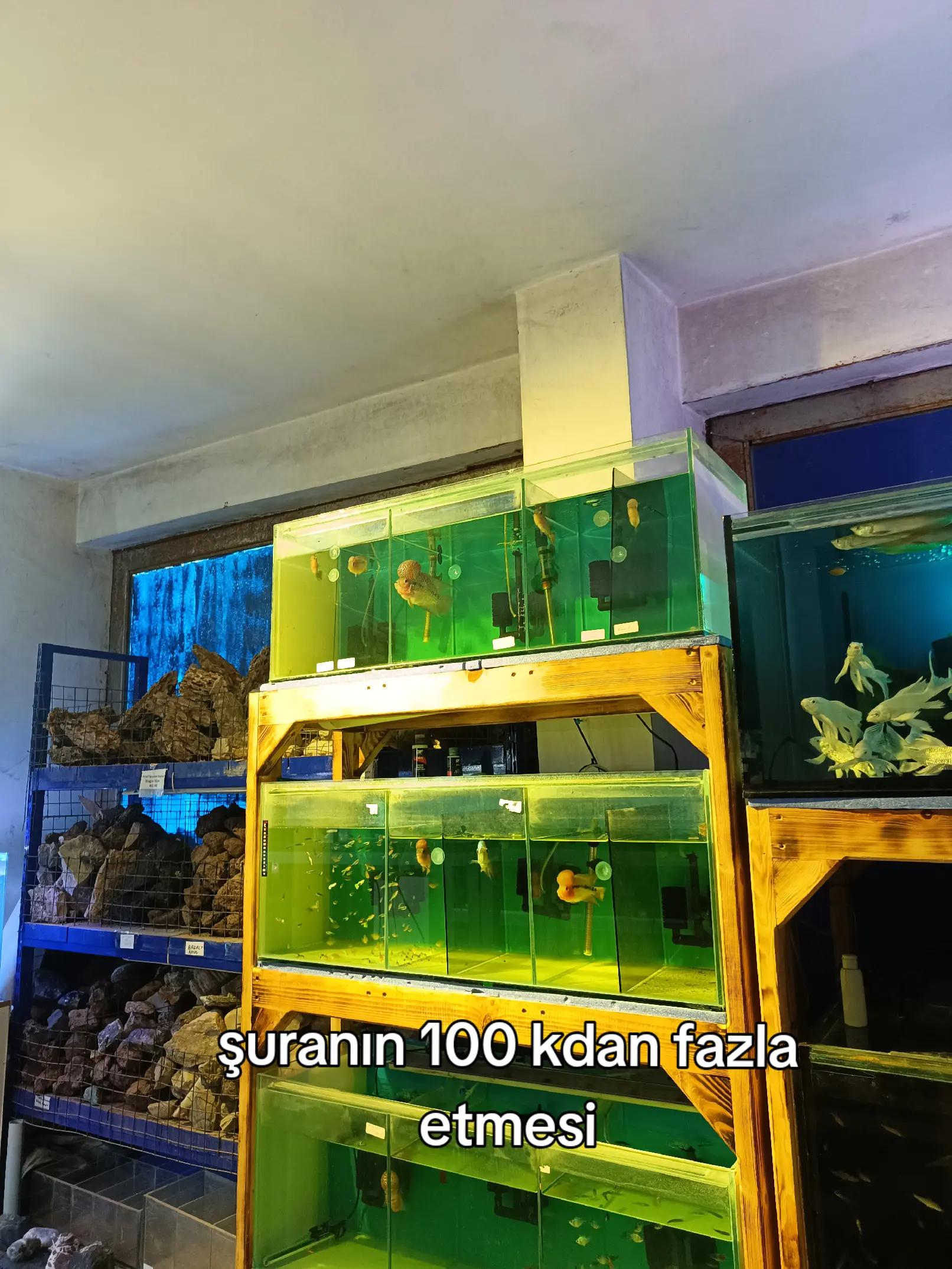 @gt hesabıı