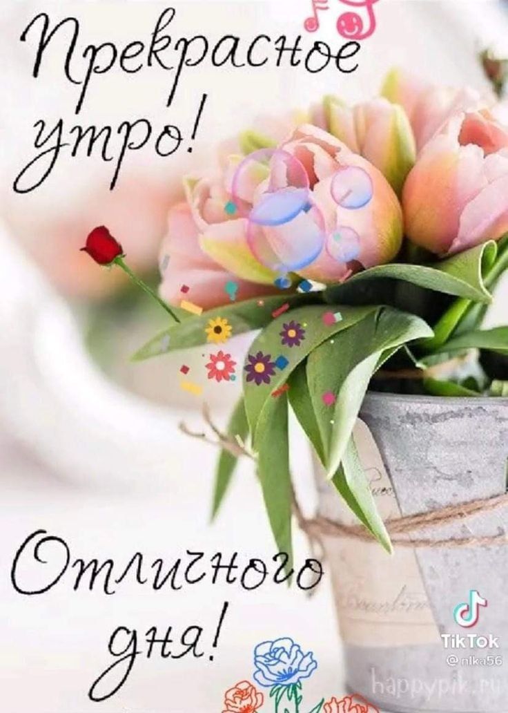 @Александр
