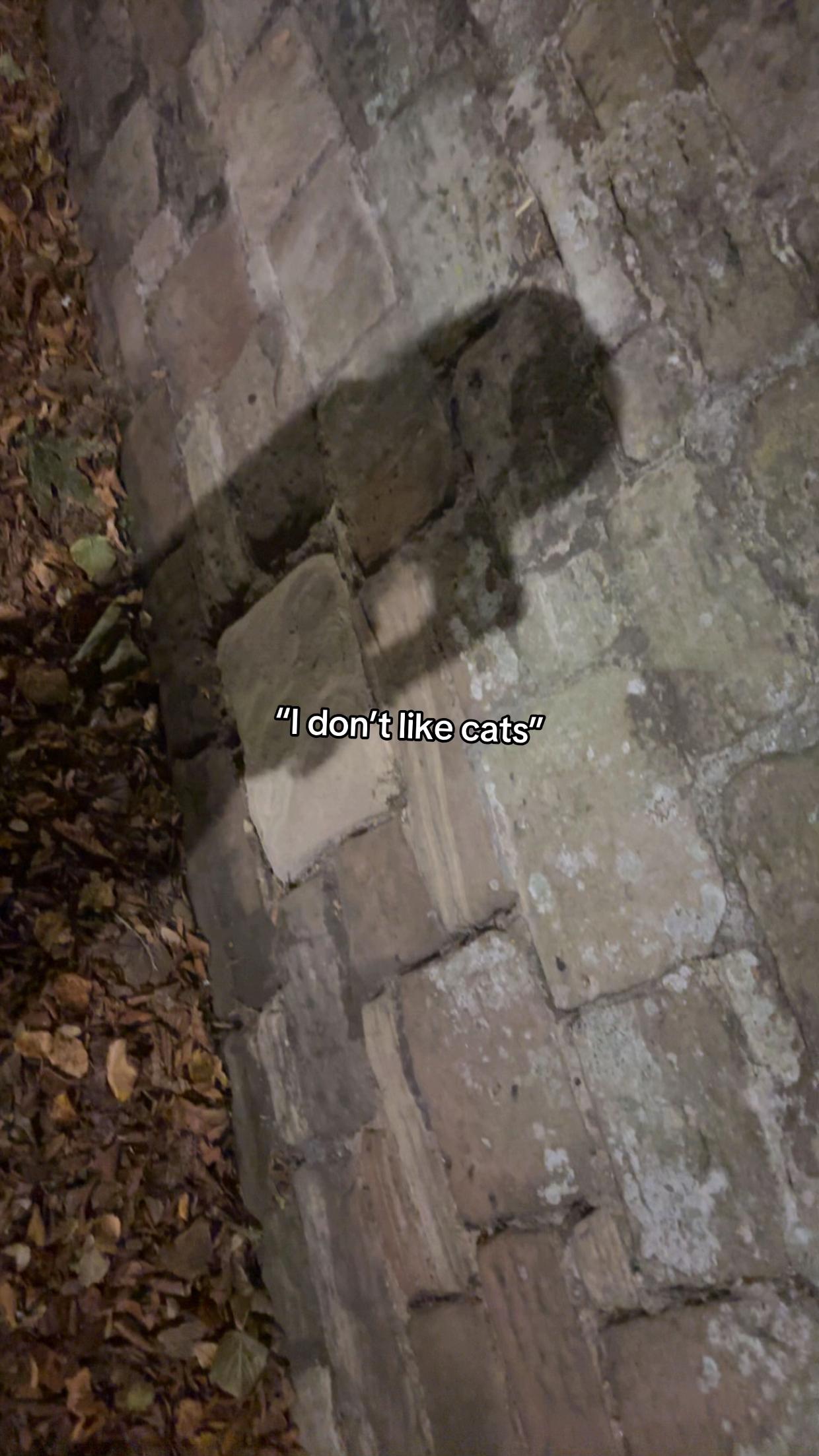 @Charlie 🦦