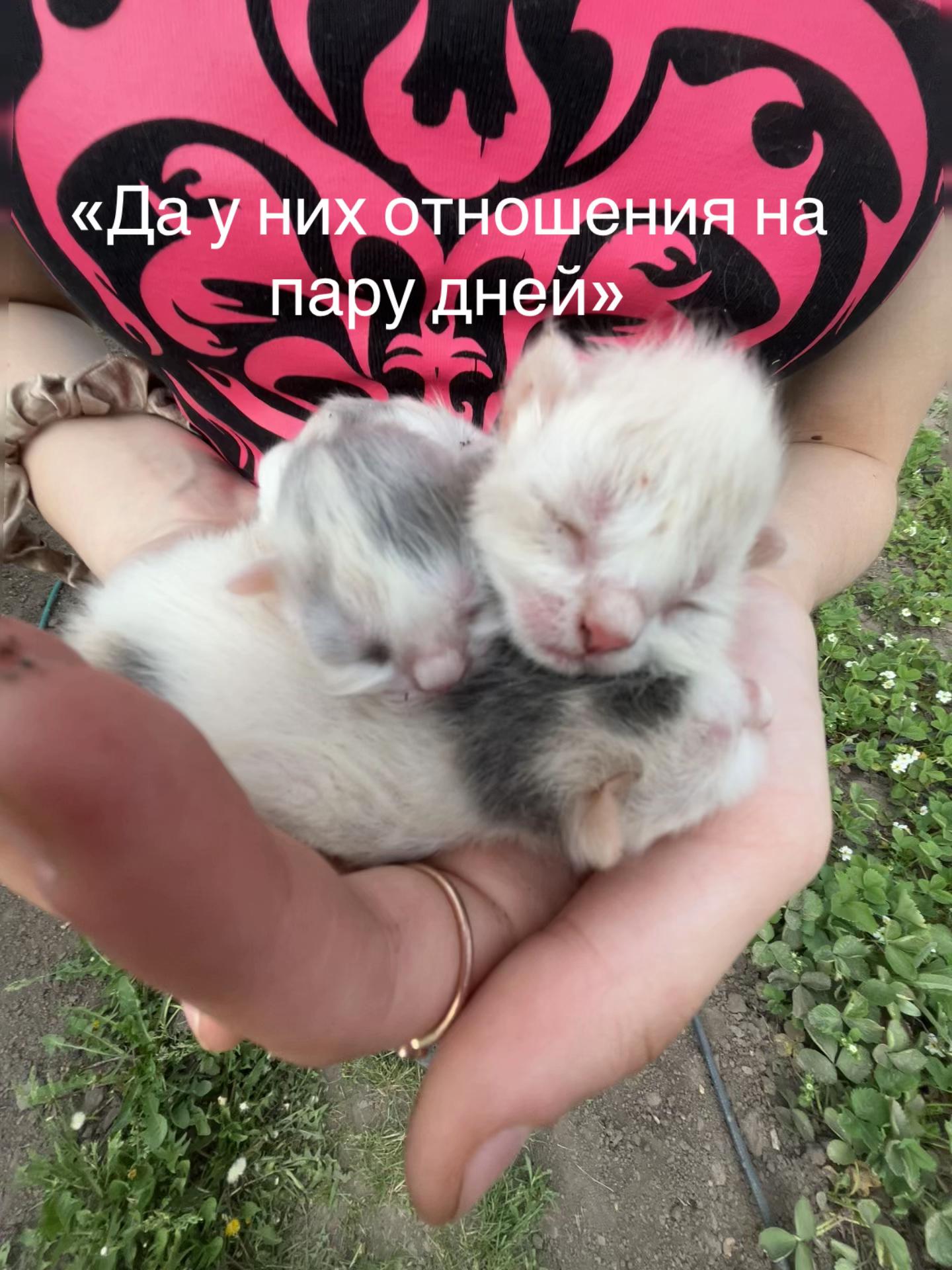 @Флора